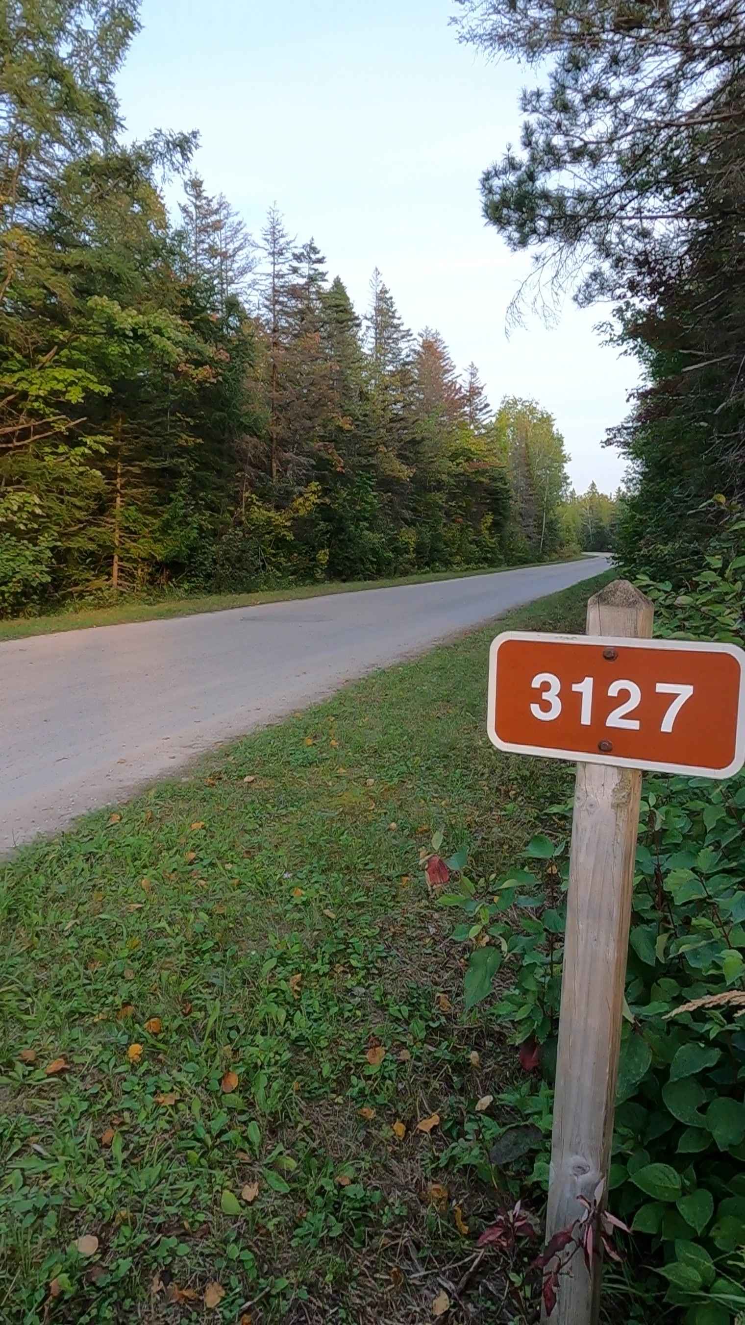 Carp River Boat Landing Road - FS 3127