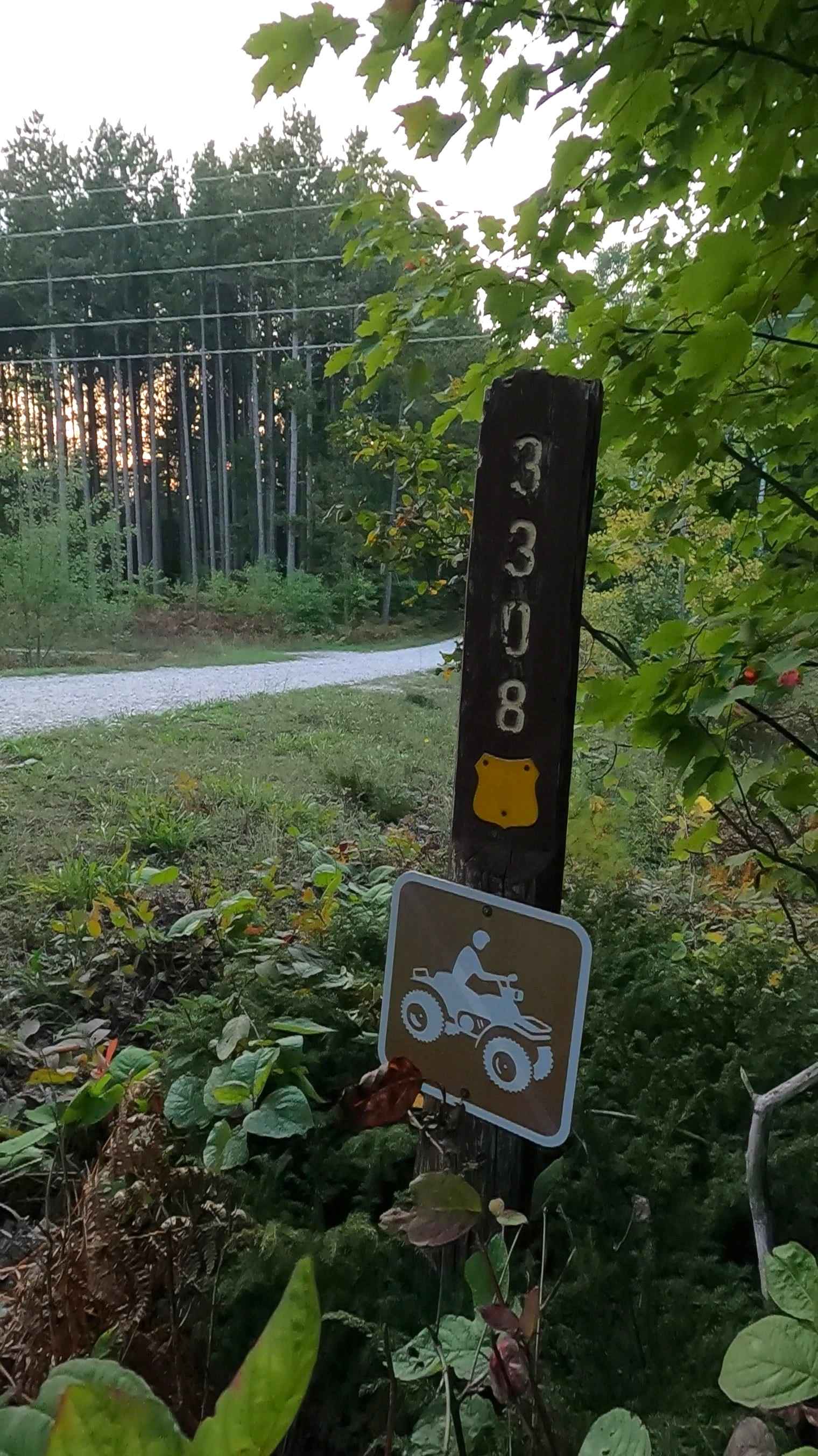 Carp River Road - FS 3308