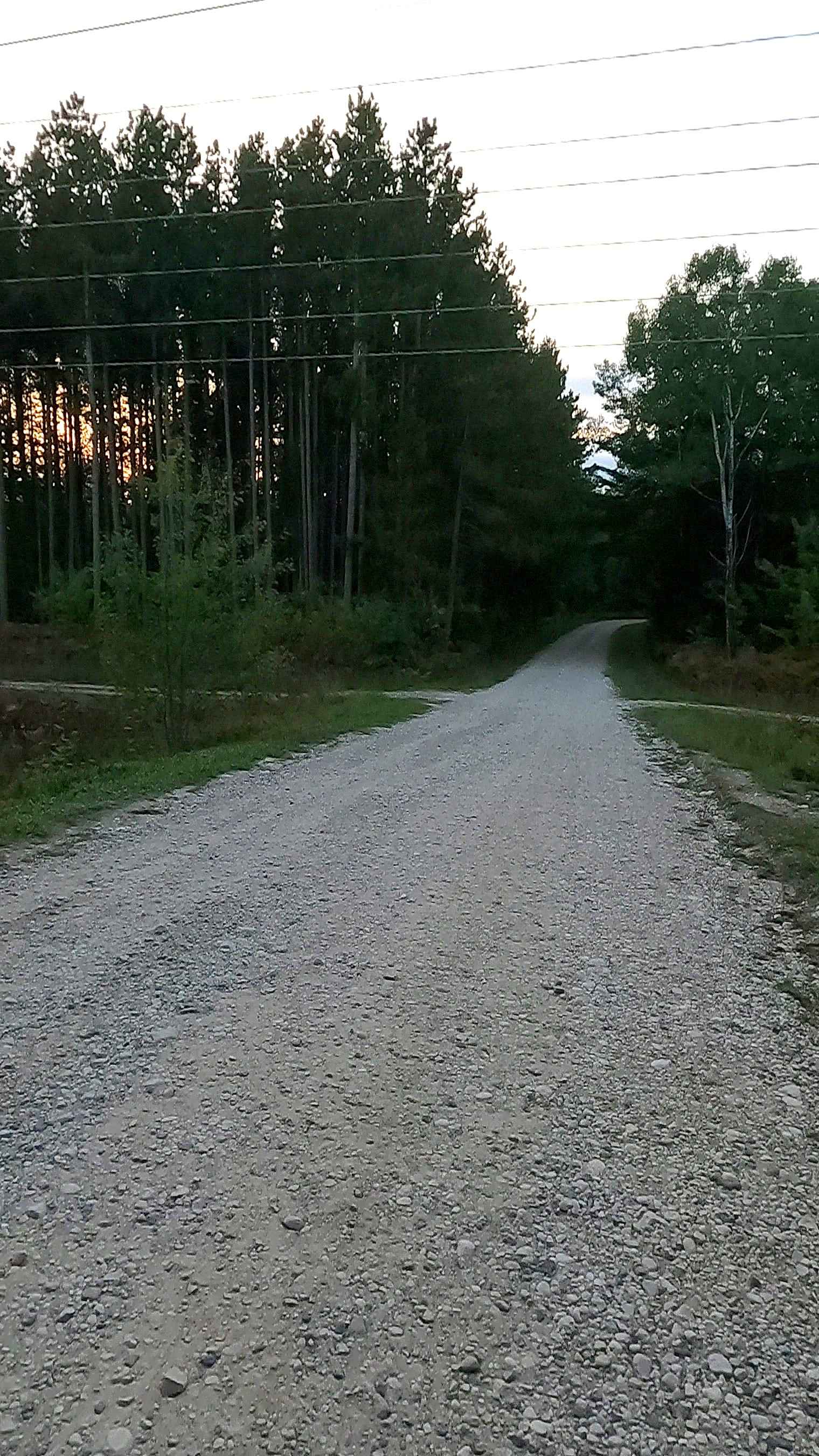 Carp River Road - FS 3308