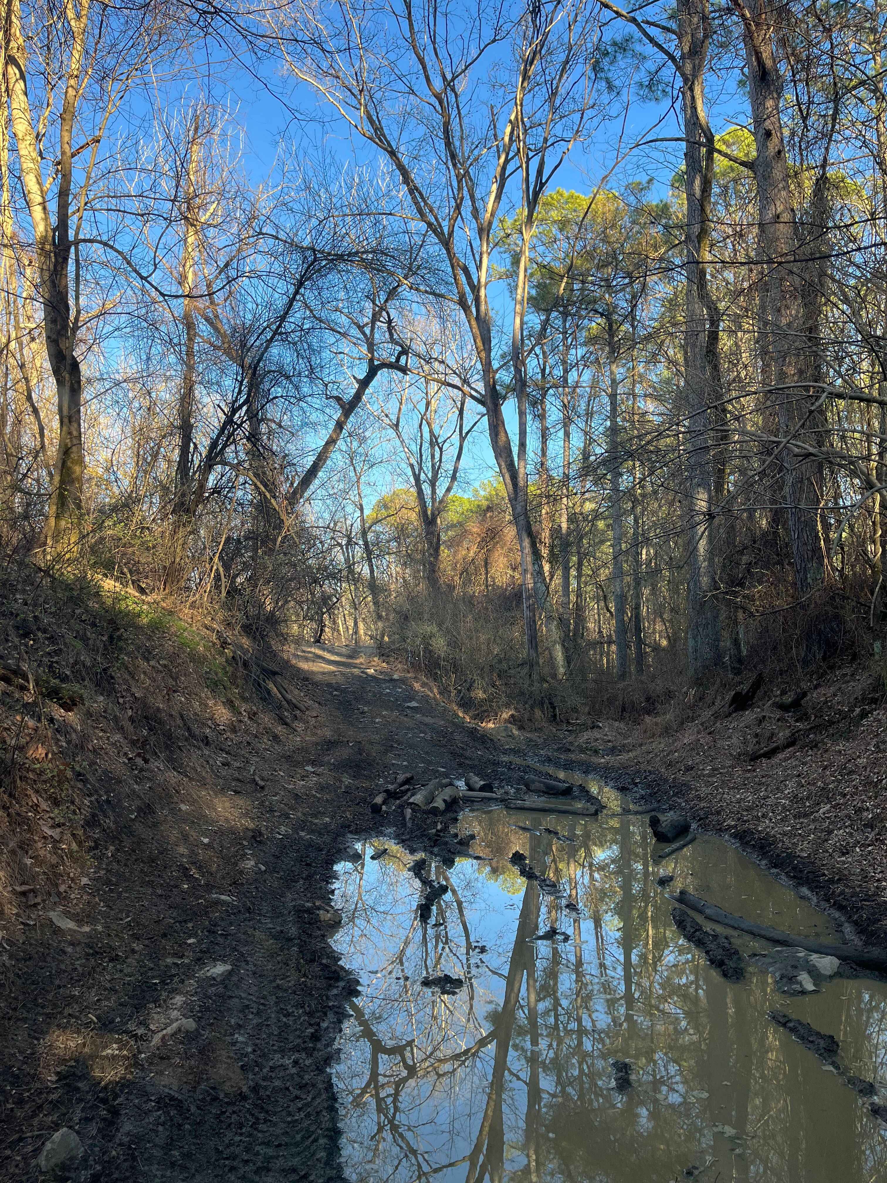 South Boundary Trail