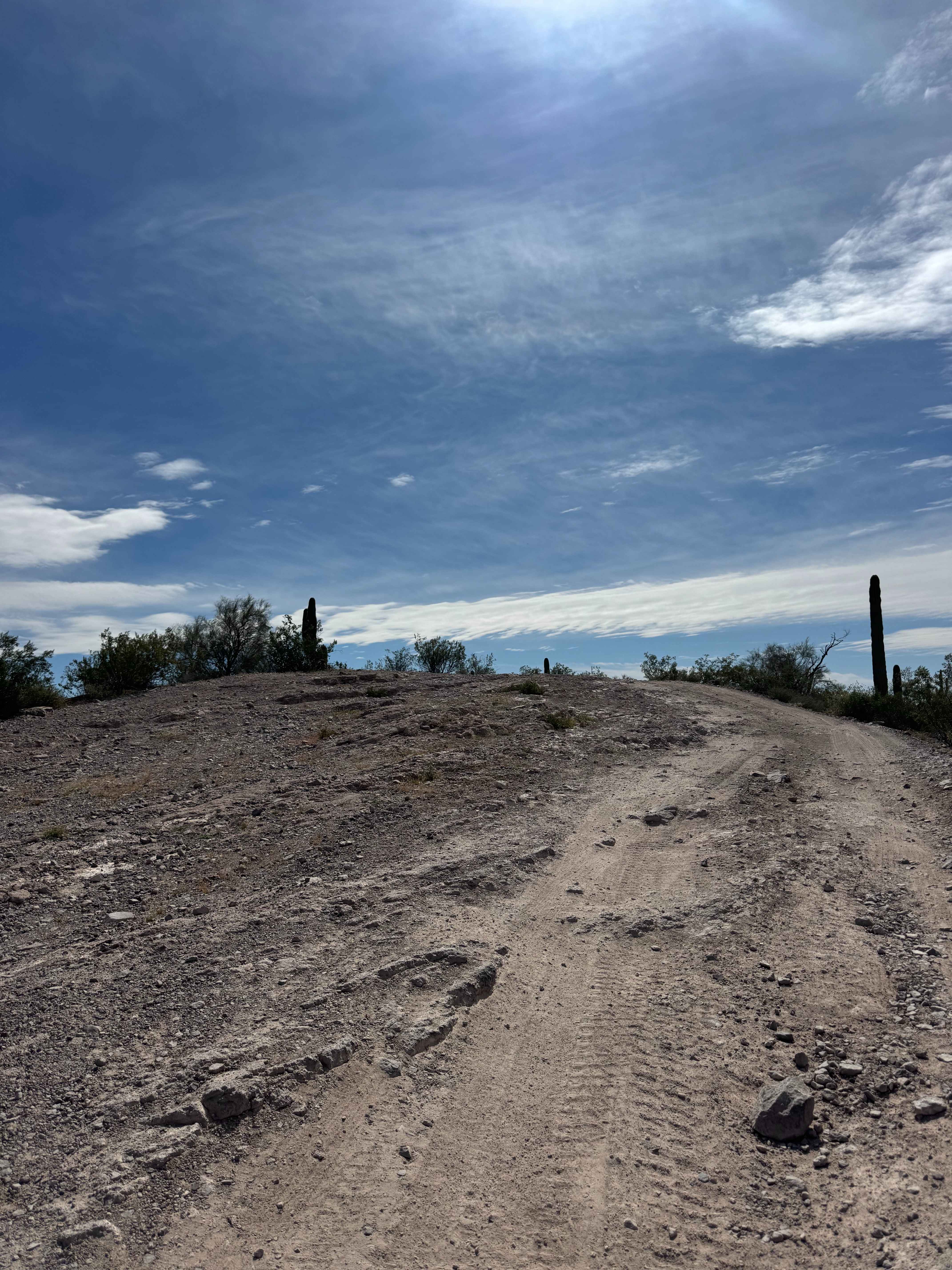 Pleasant Burro Drive