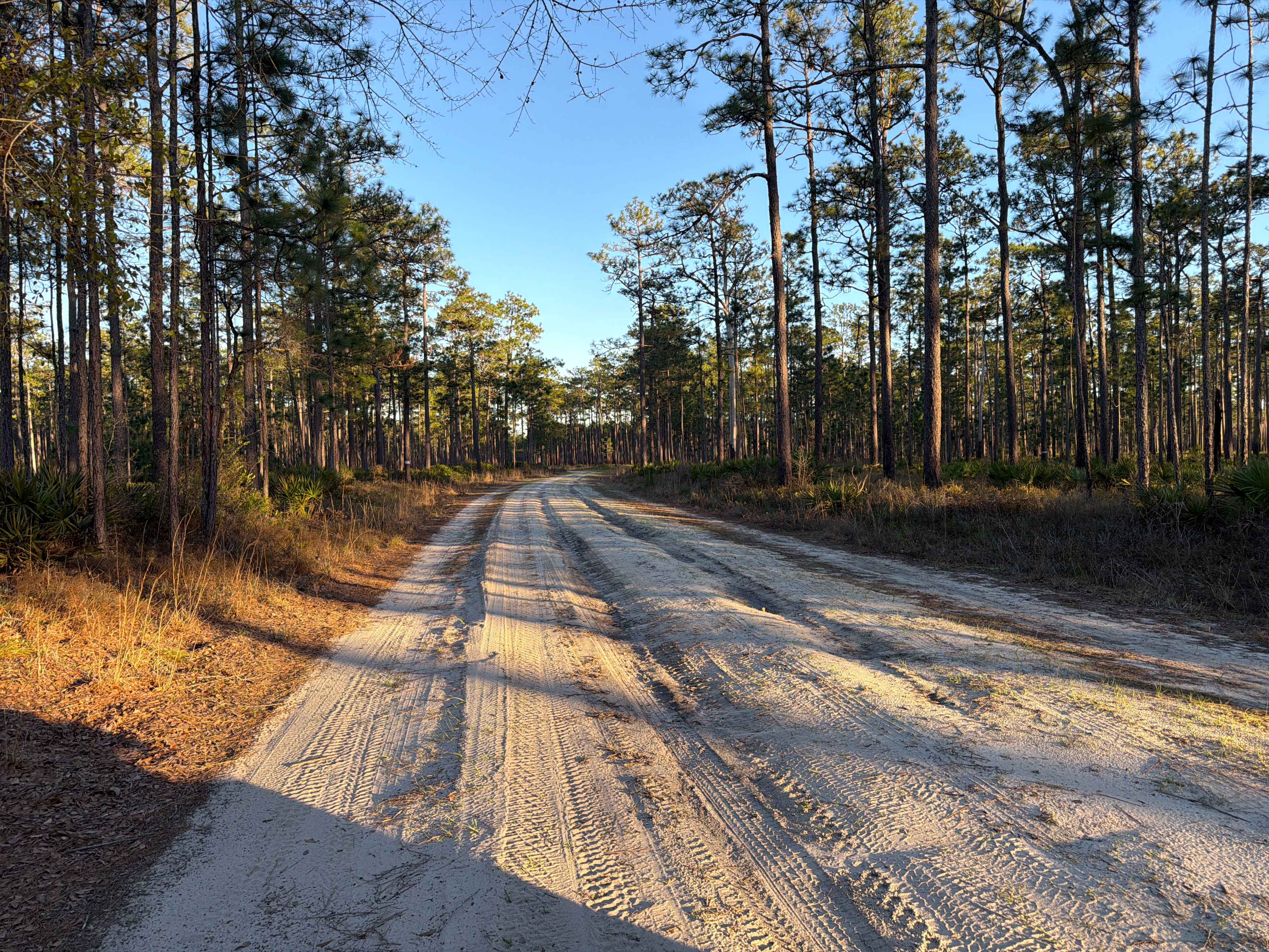 Lawhorn Bay - FS 357