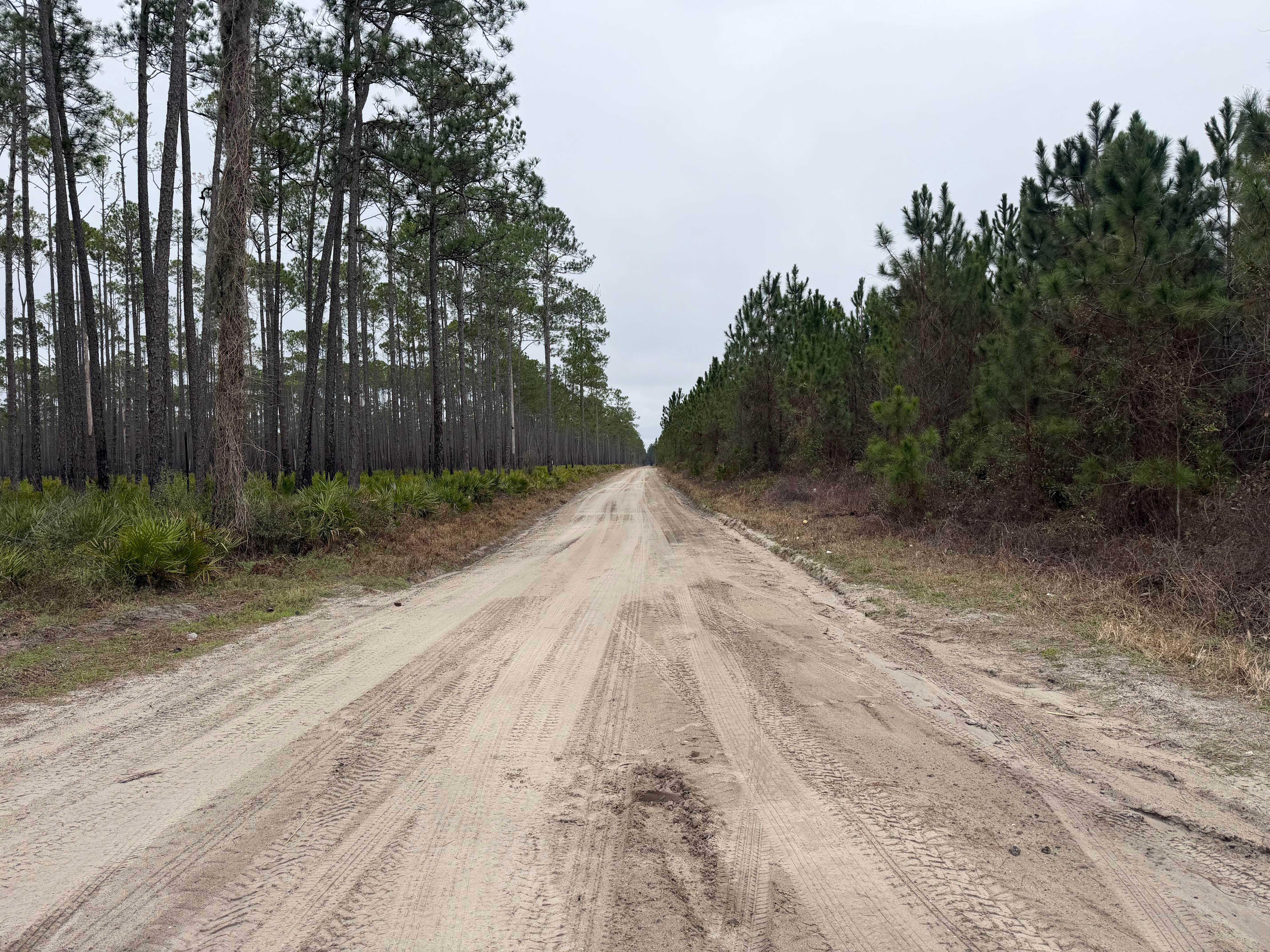 Southeast County Line Road