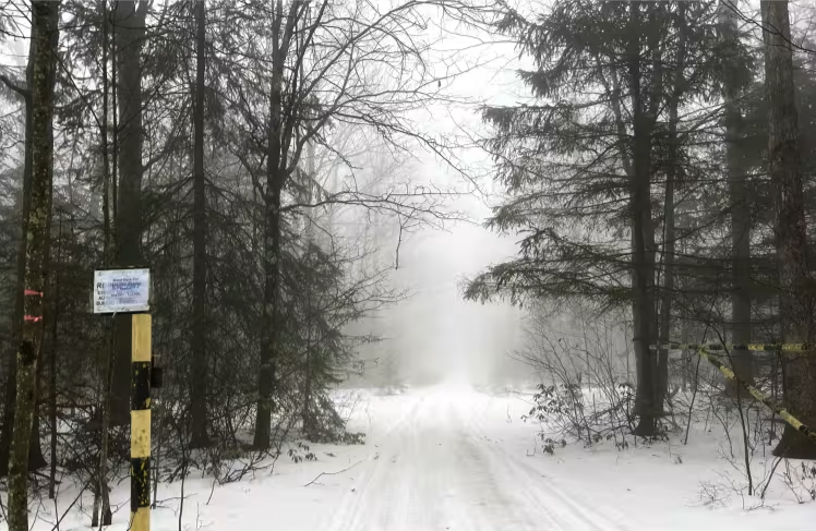 Kinney Hollow Trail