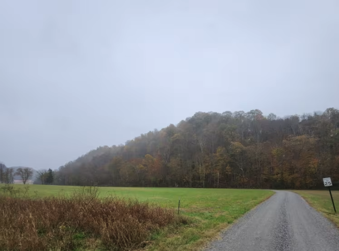 Wilmore Hollow Road - Macon County Tour