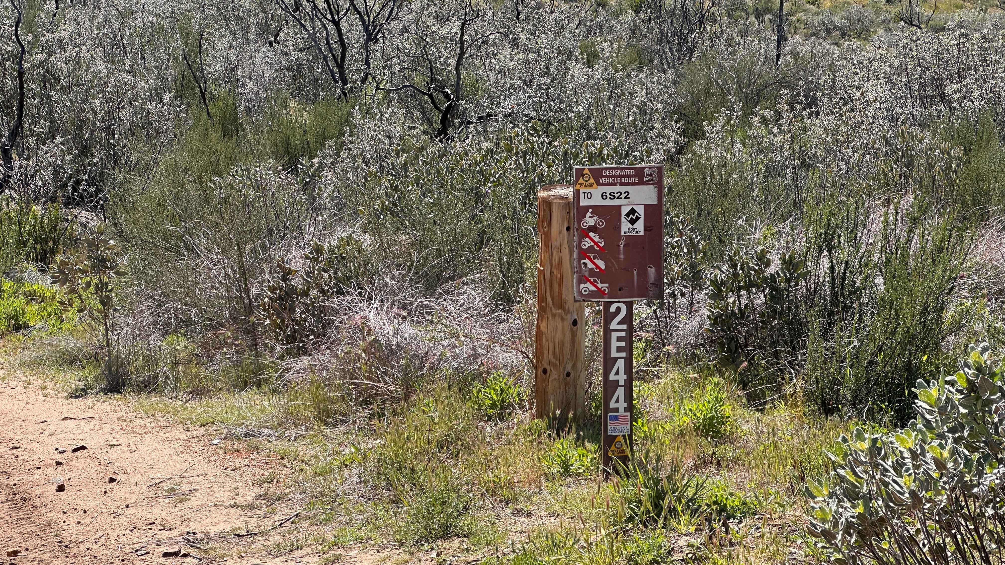 Allesandro Trail - 2E44