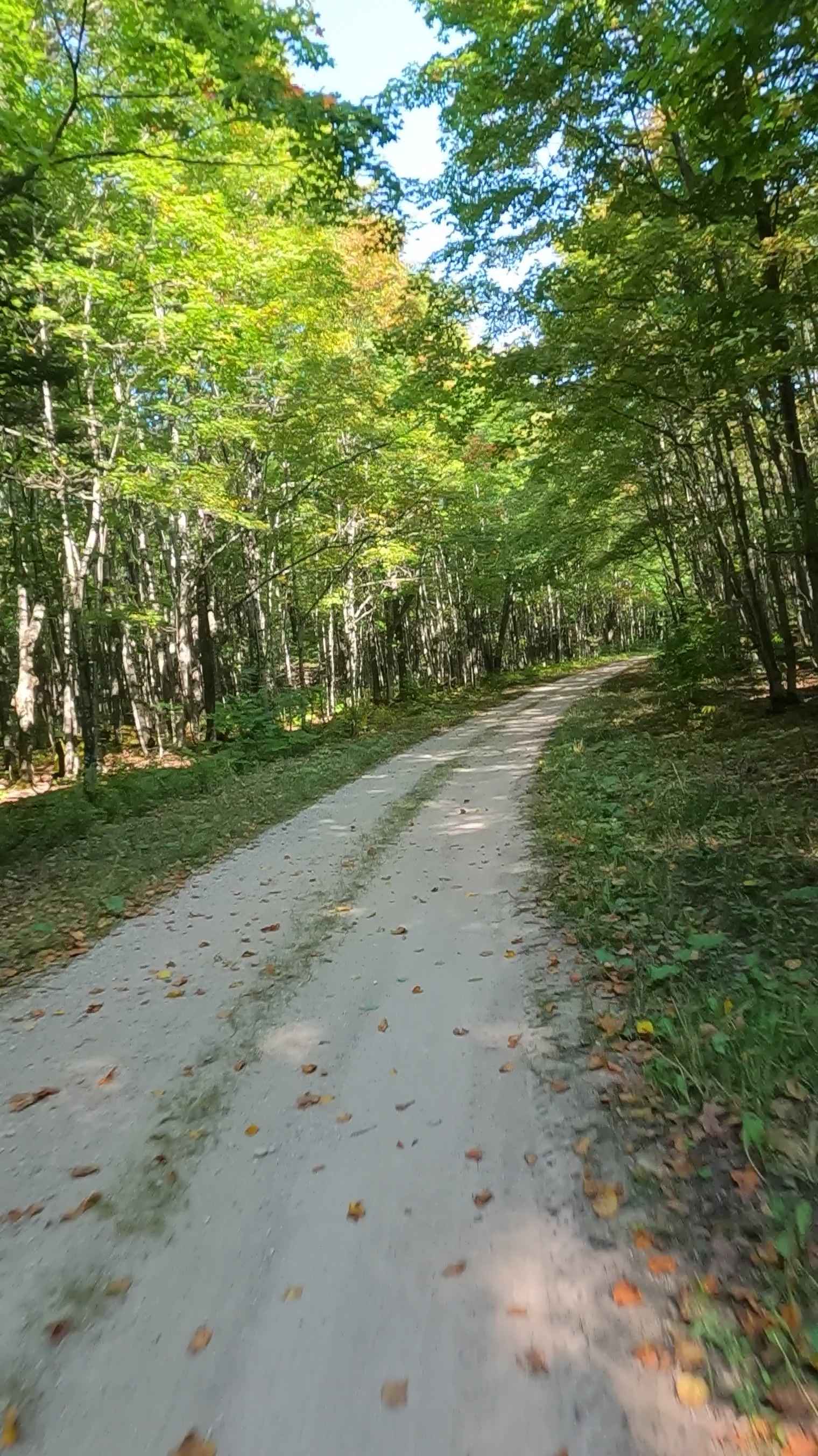 West Barrett - FS 3746