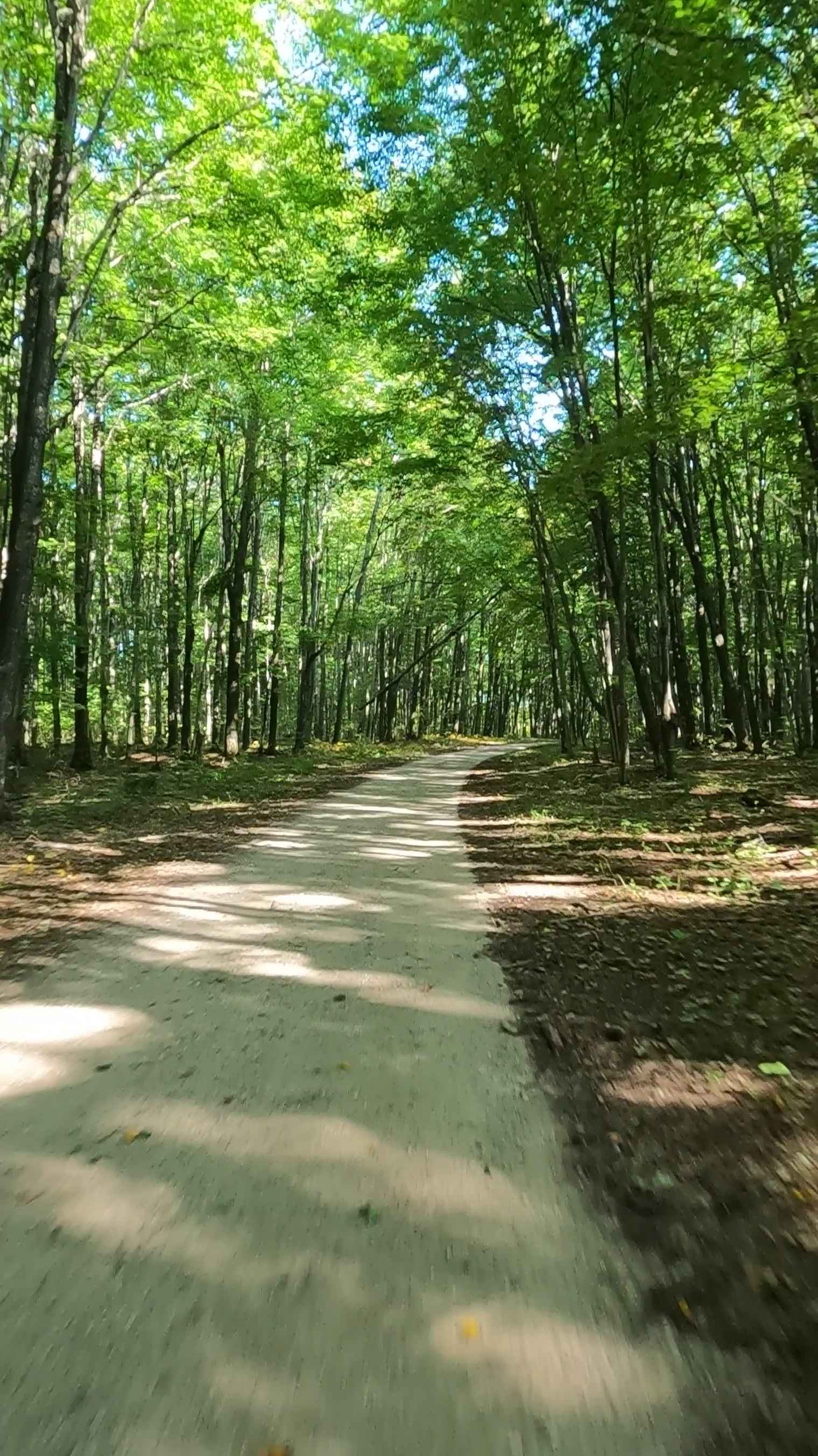 West Barrett - FS 3746