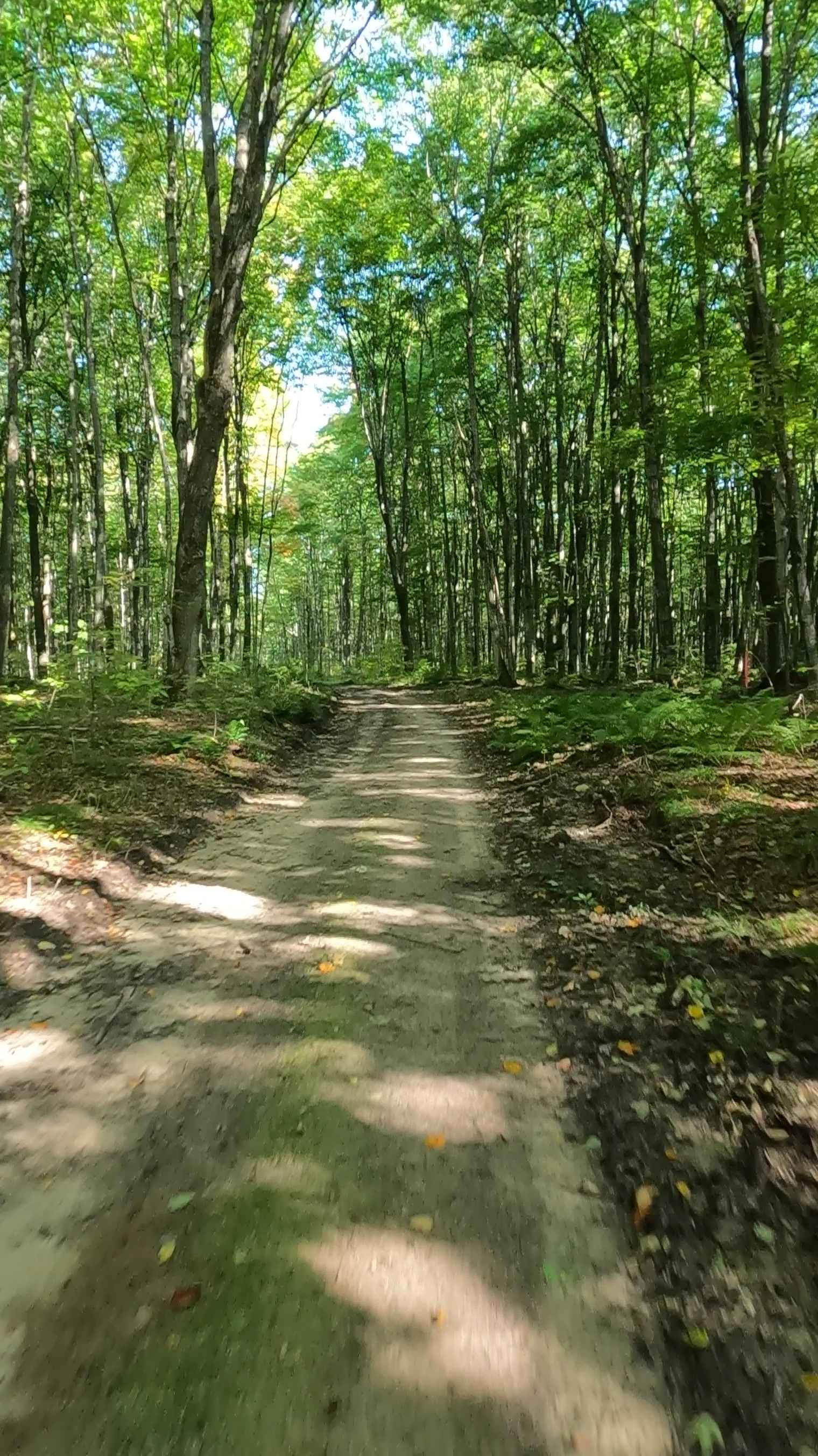 Jody Spur B/C - FS 3487B/3487C