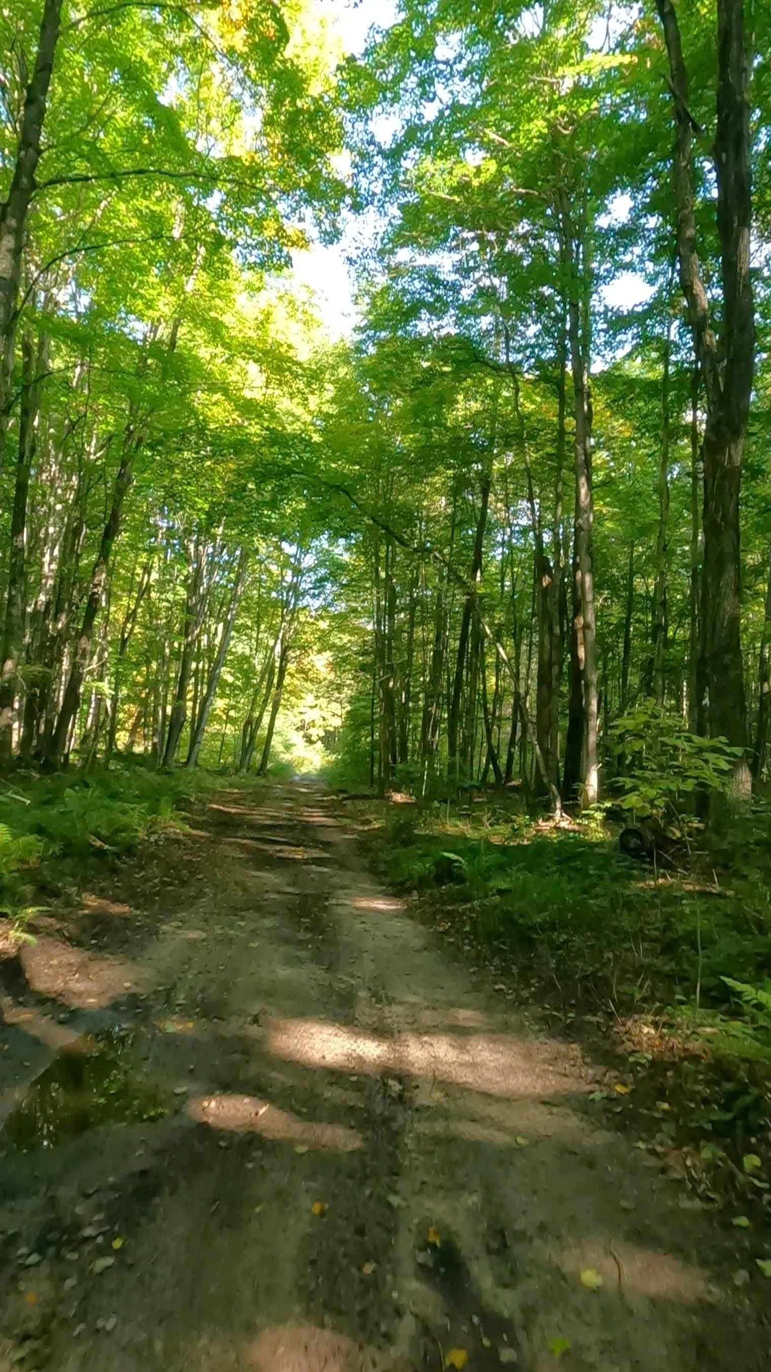 Jody Spur B/C - FS 3487B/3487C