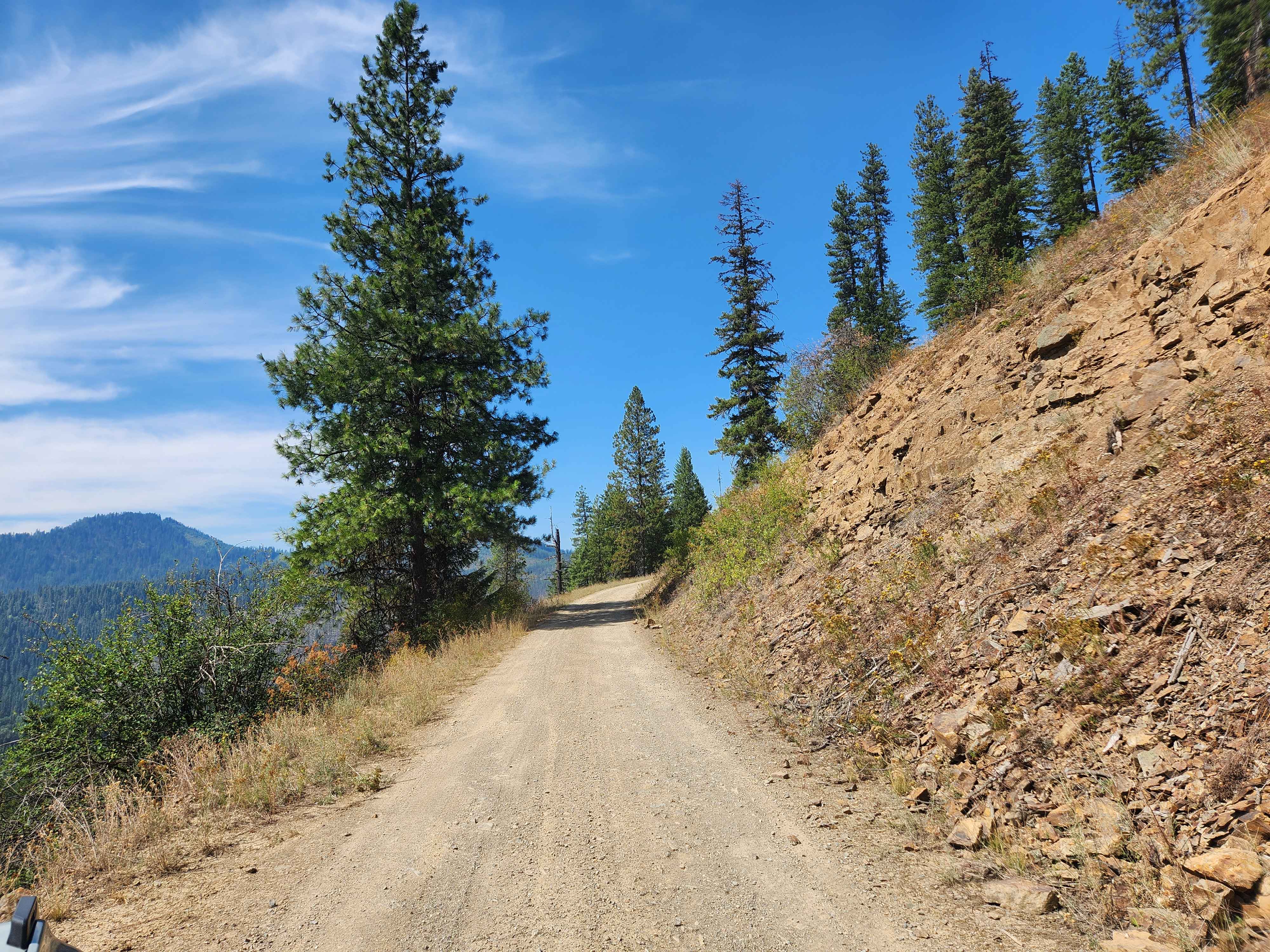Oregon Toboggan Road