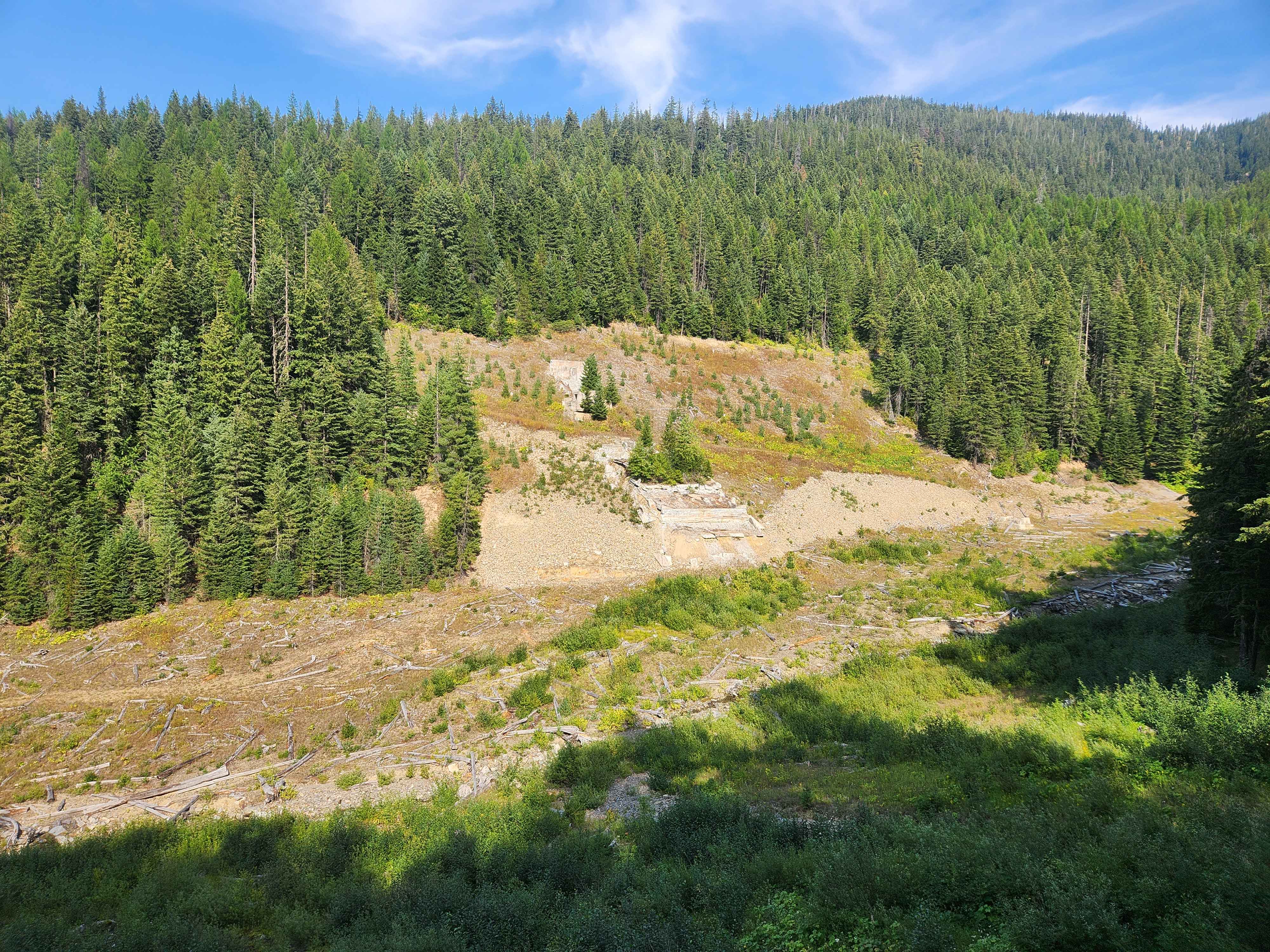 Oregon Toboggan Road