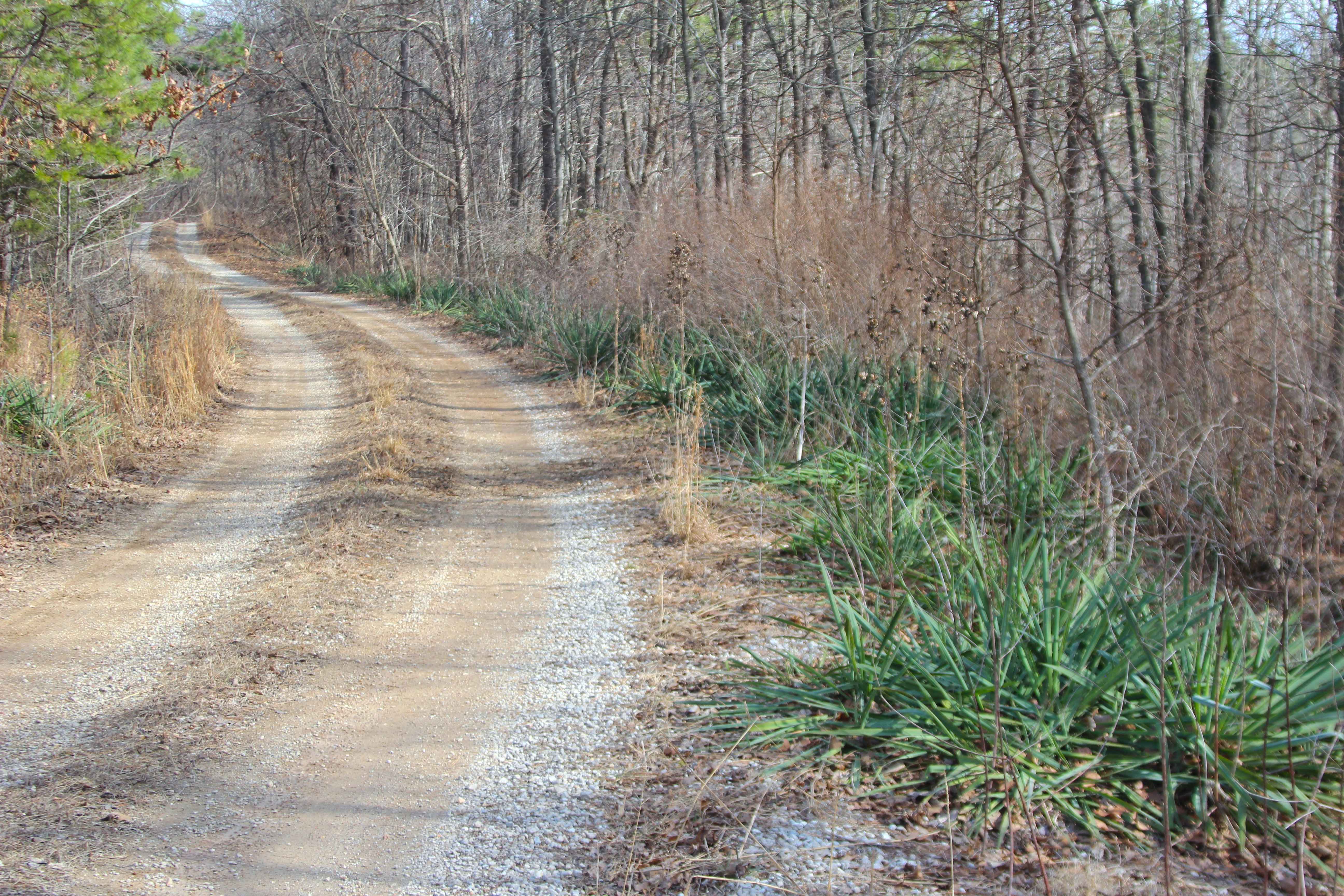 Perkins Ridge - FS 423