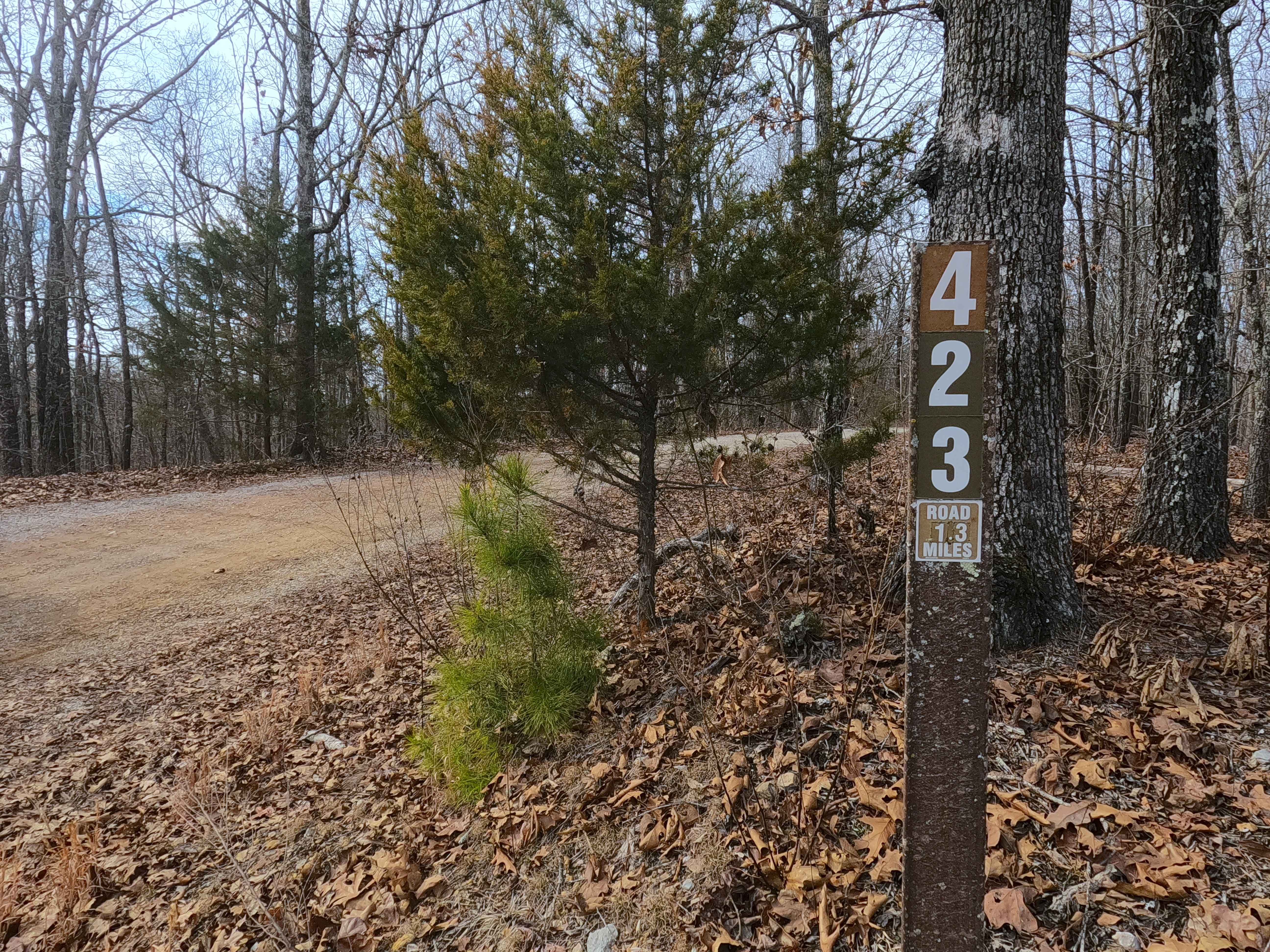 Perkins Ridge - FS 423