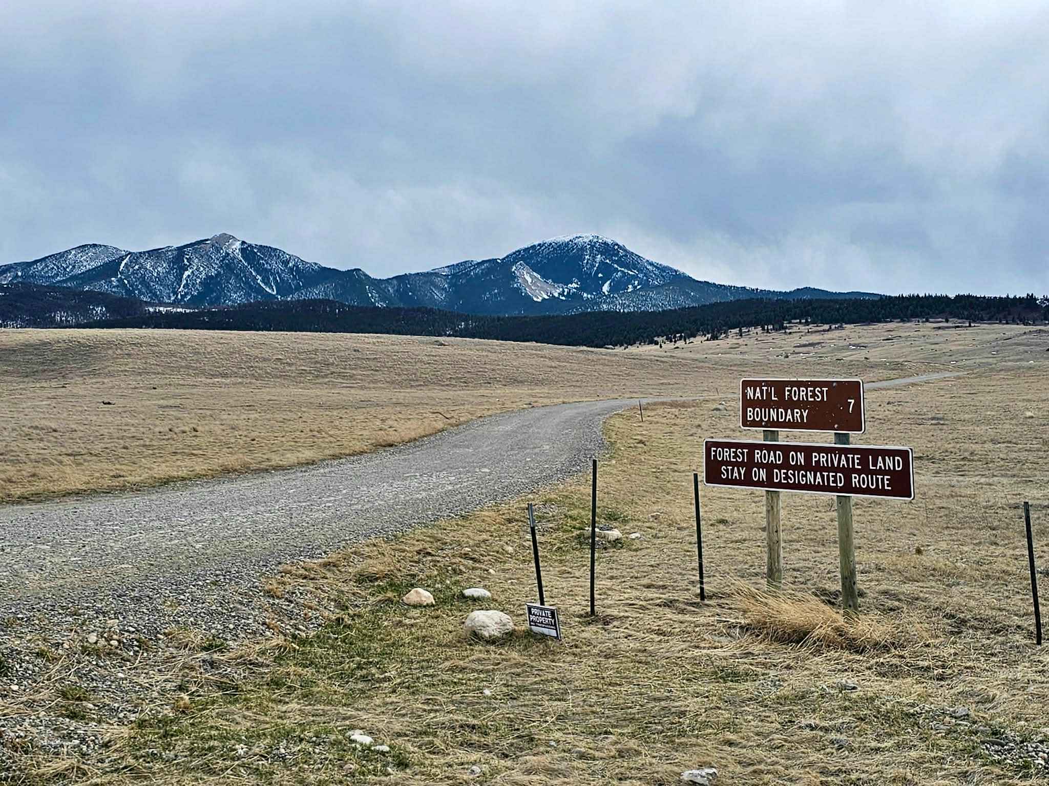 Livingston Peak Road