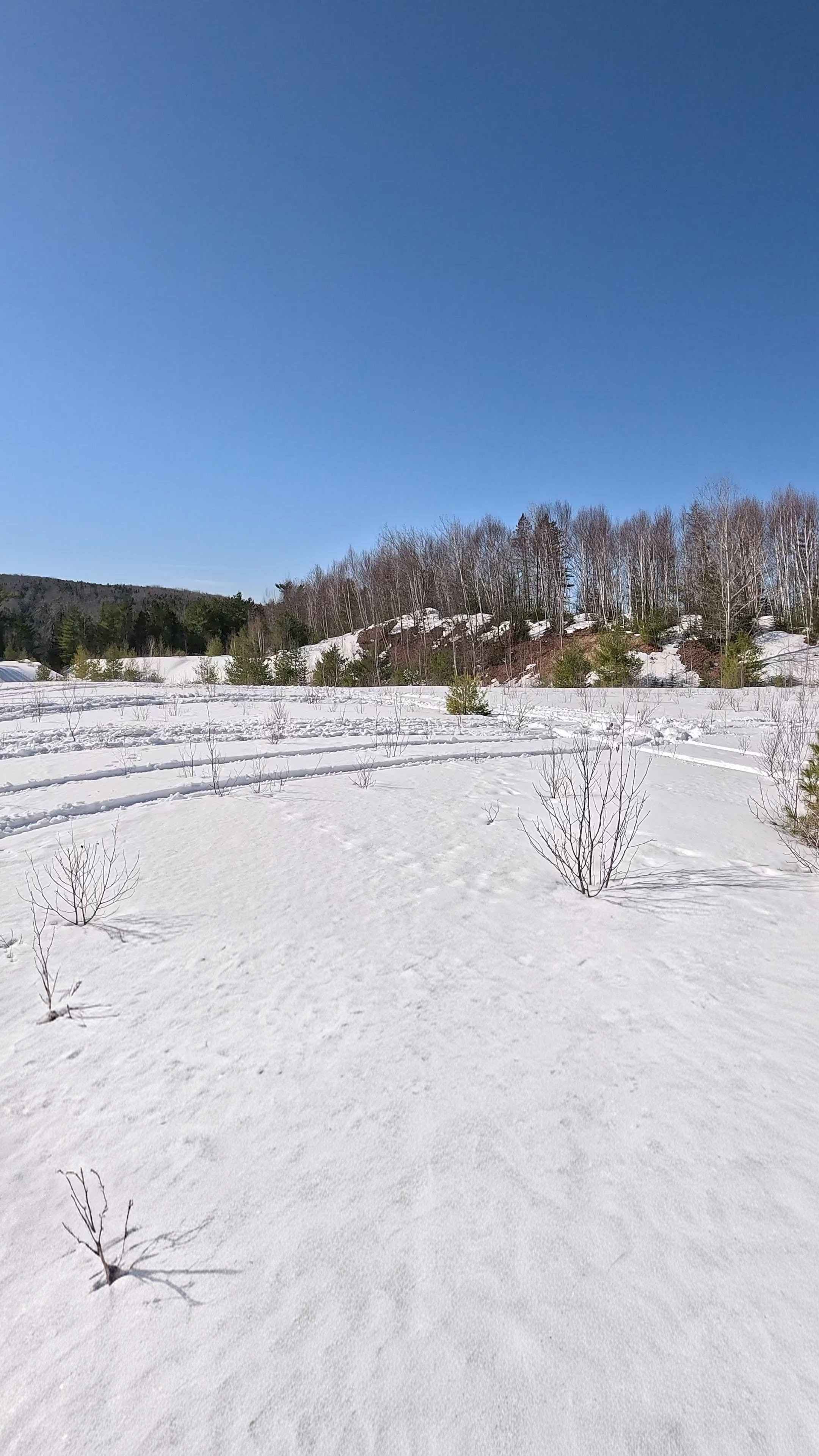 Upper Stone Ridge Backend Pit