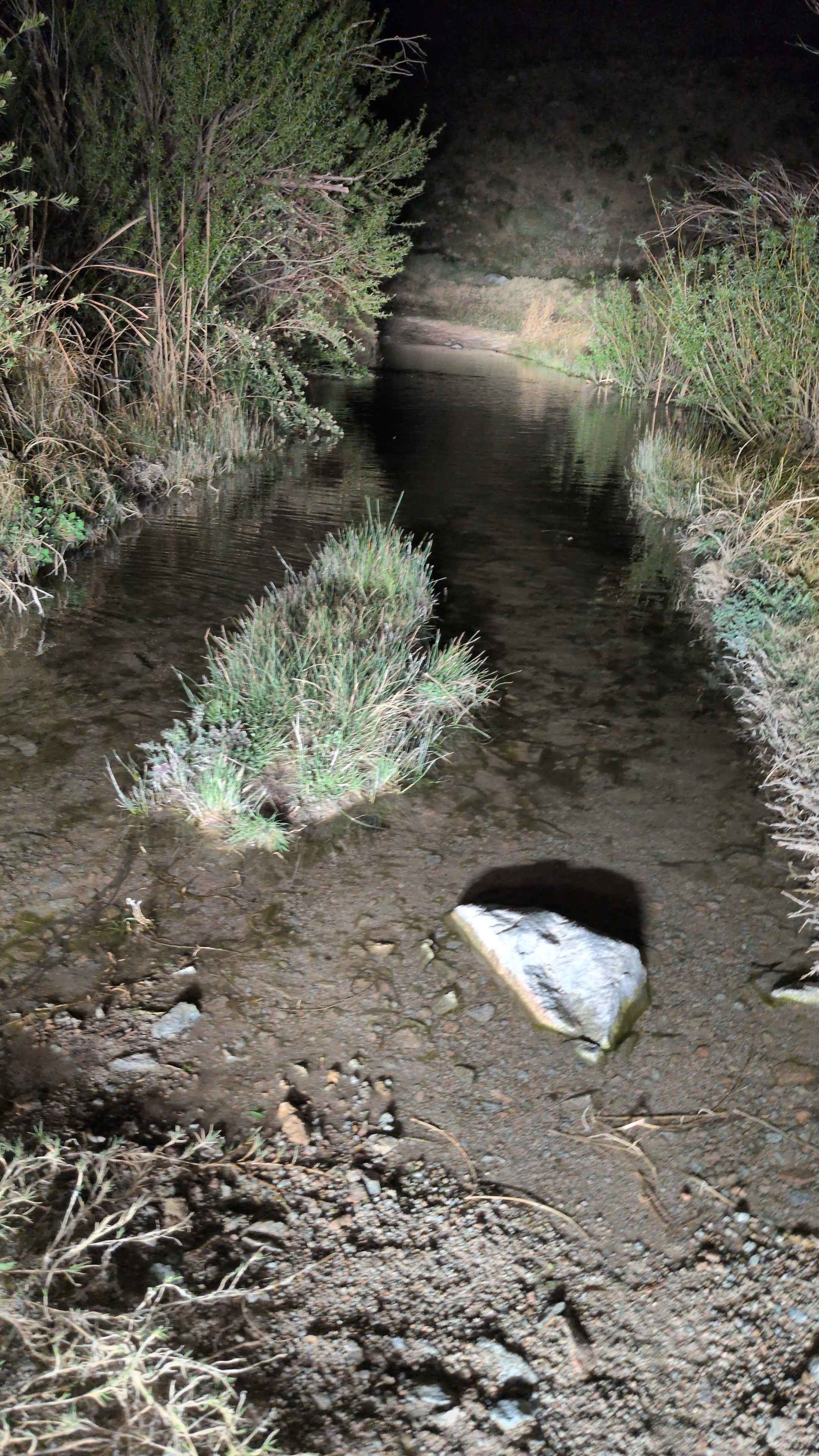 Sand Canyon Road - BLM SE117