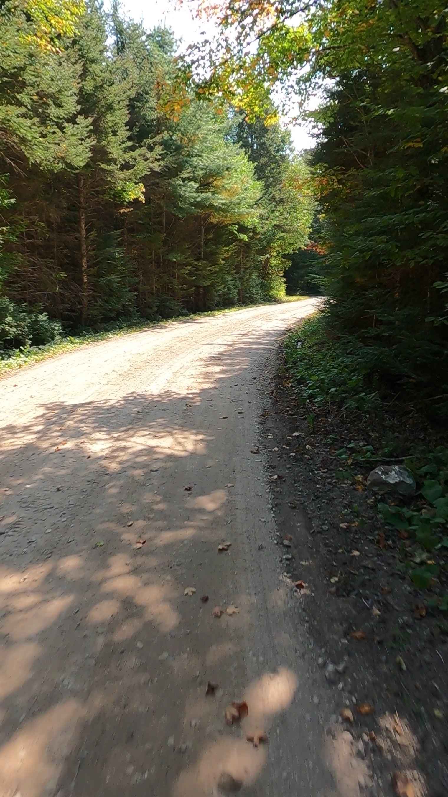 Fiborn Spur A/B - FS 3332A/3332B