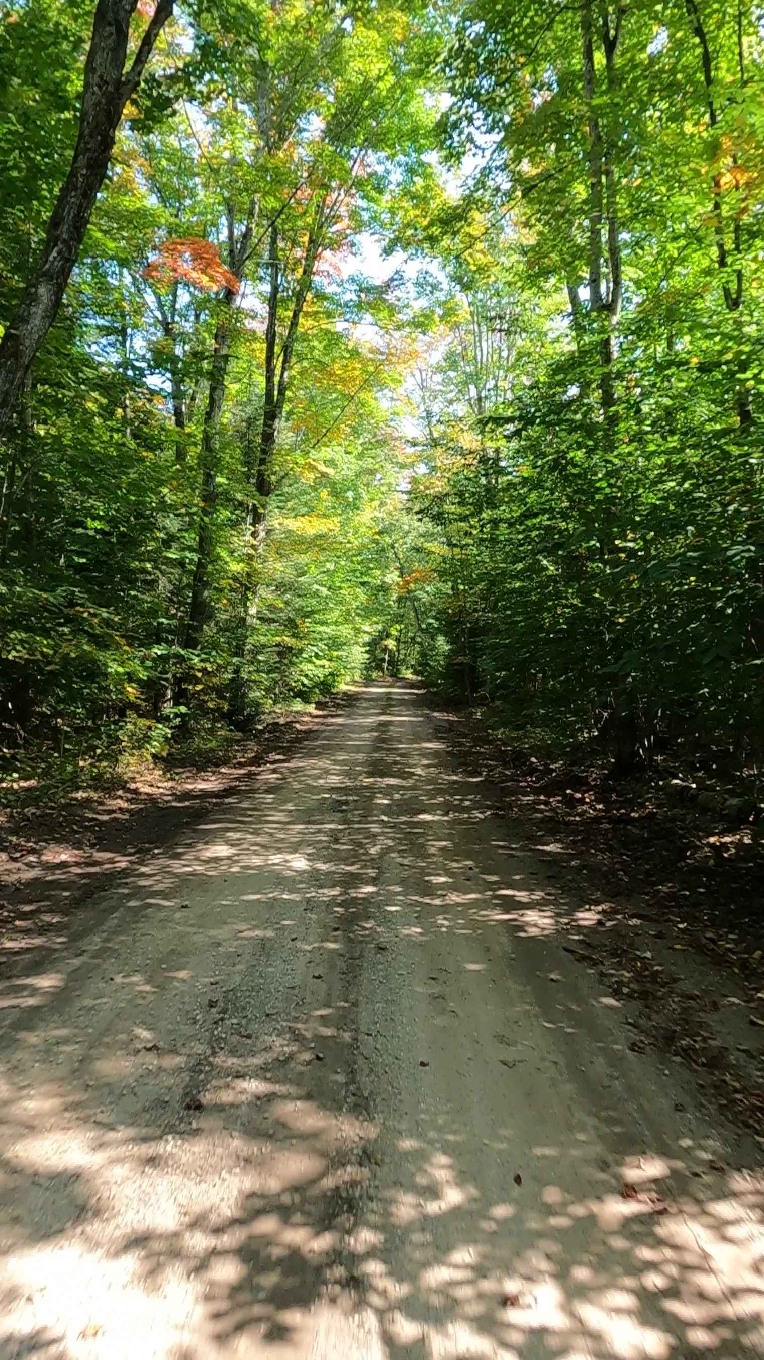 Fiborn Spur A/B - FS 3332A/3332B