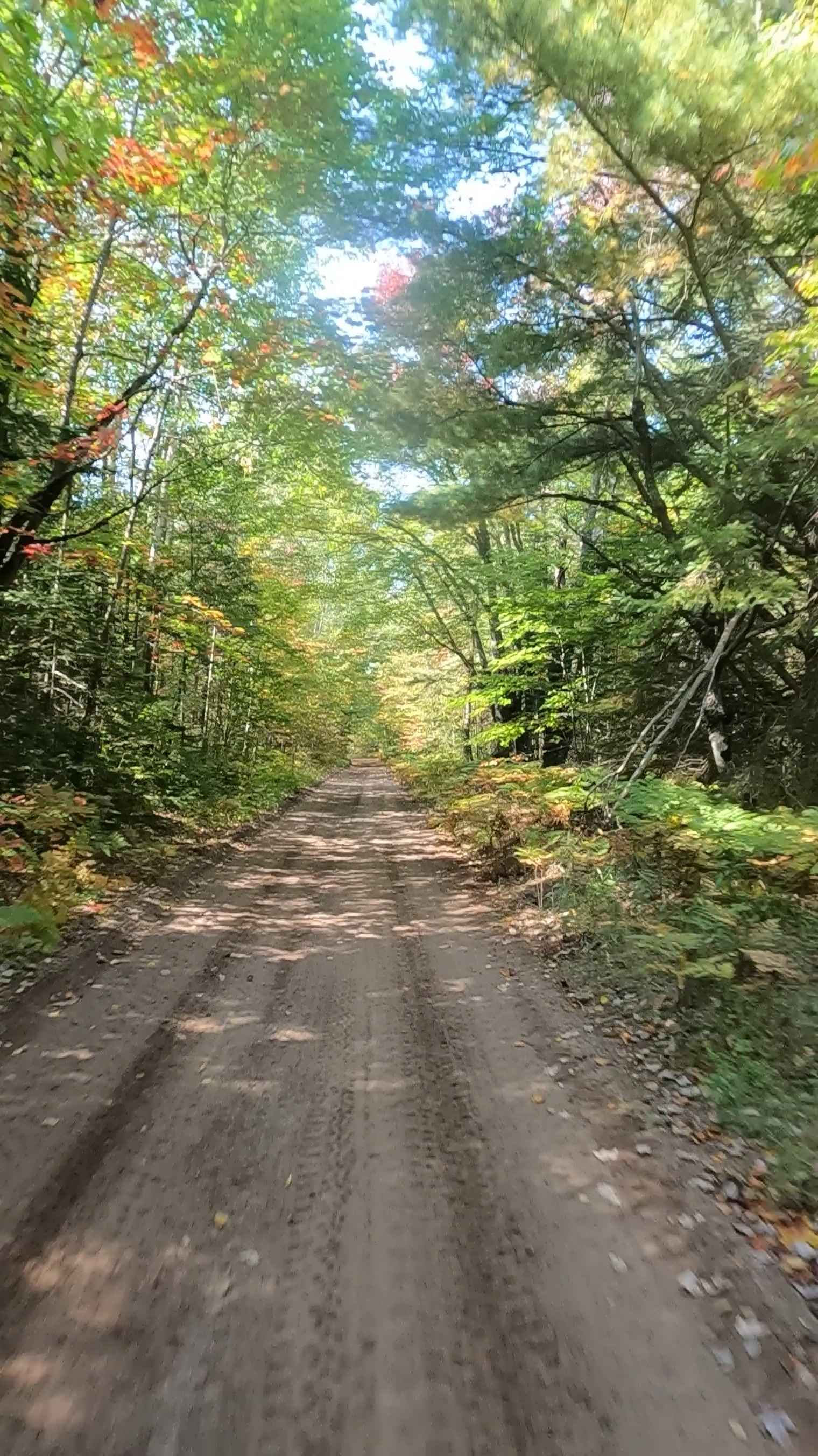 Hog Island Road - FS 3364 (ORV Route A)