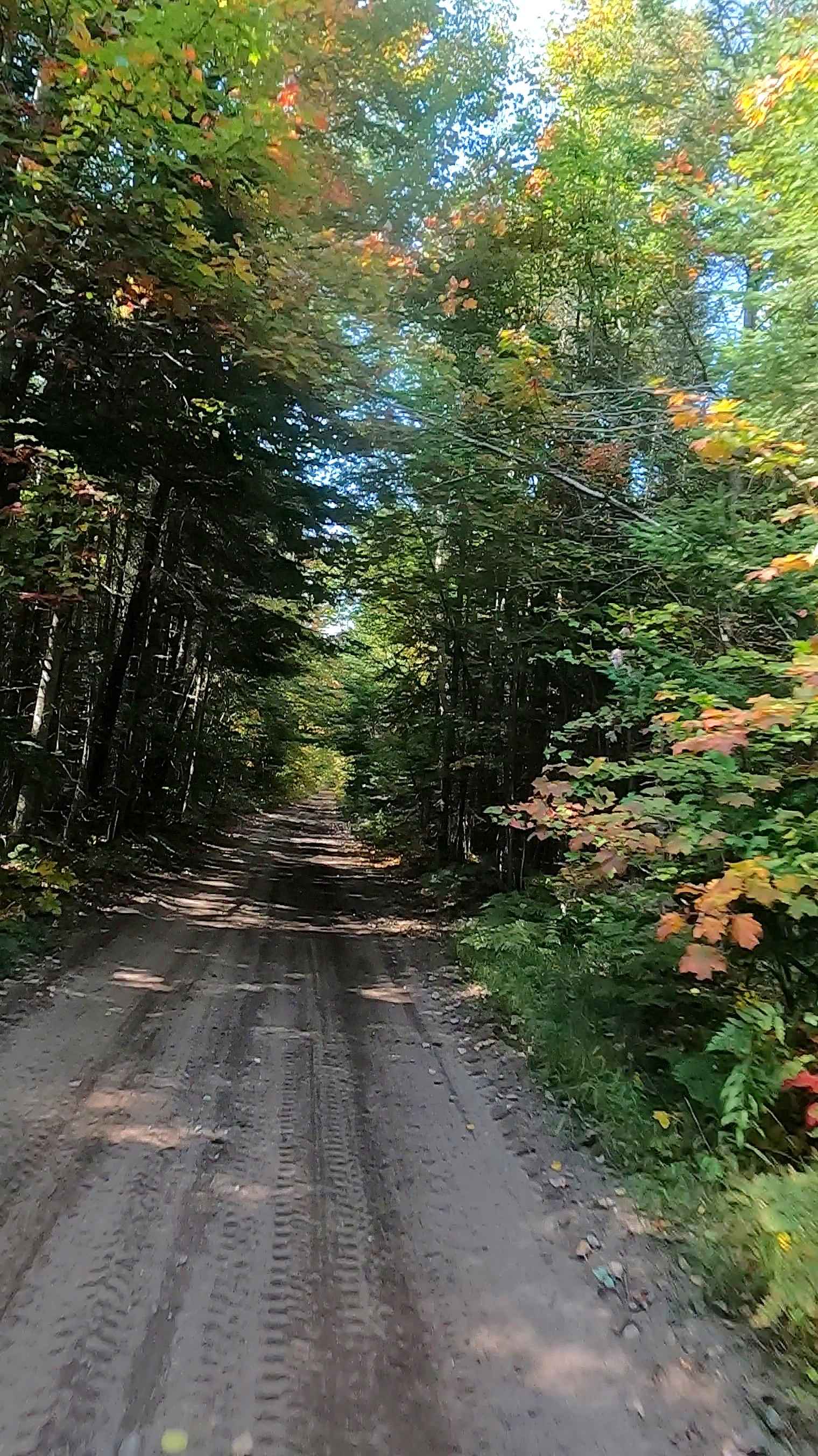 Hog Island Road - FS 3364 (ORV Route A)