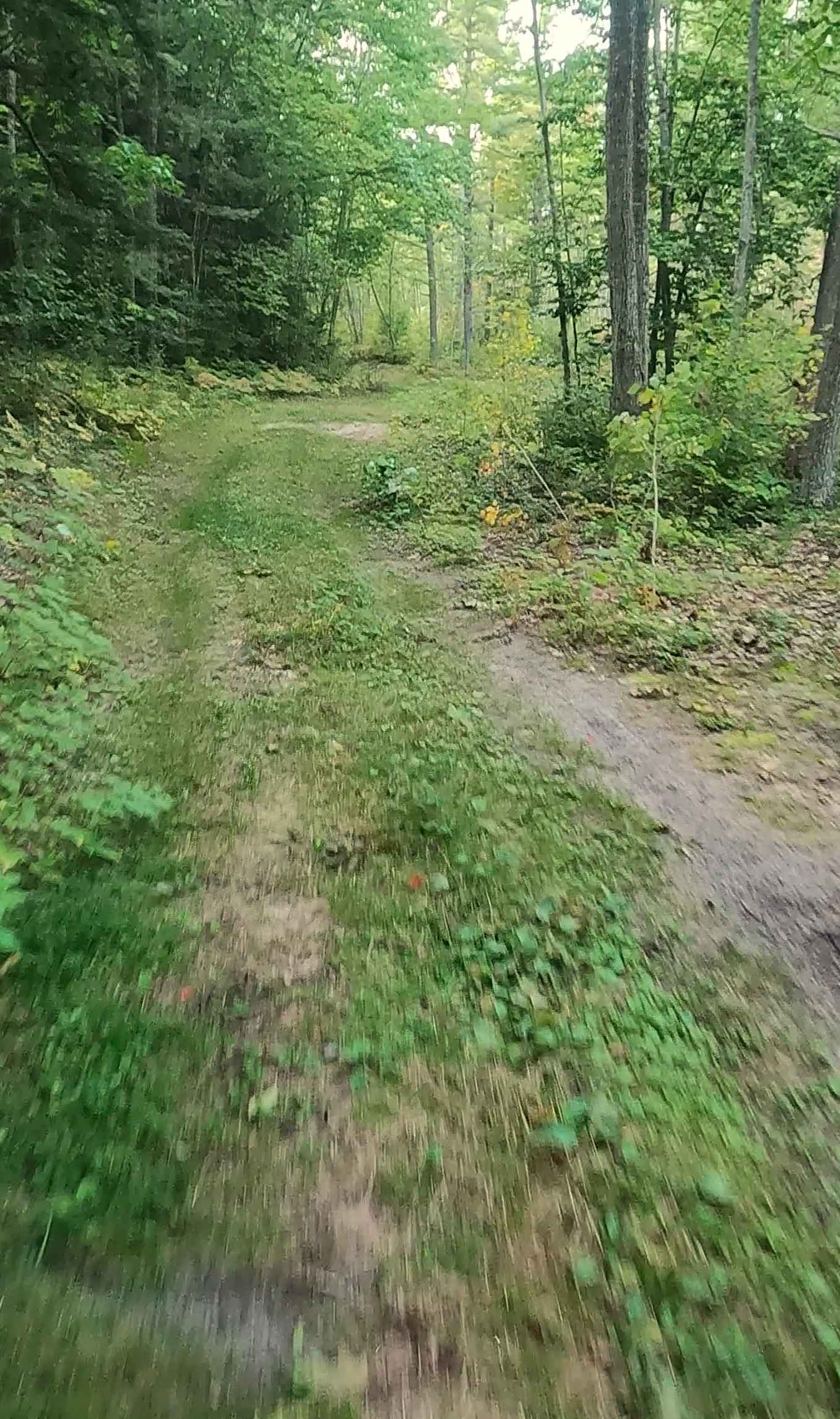 Old Stage Truck Road