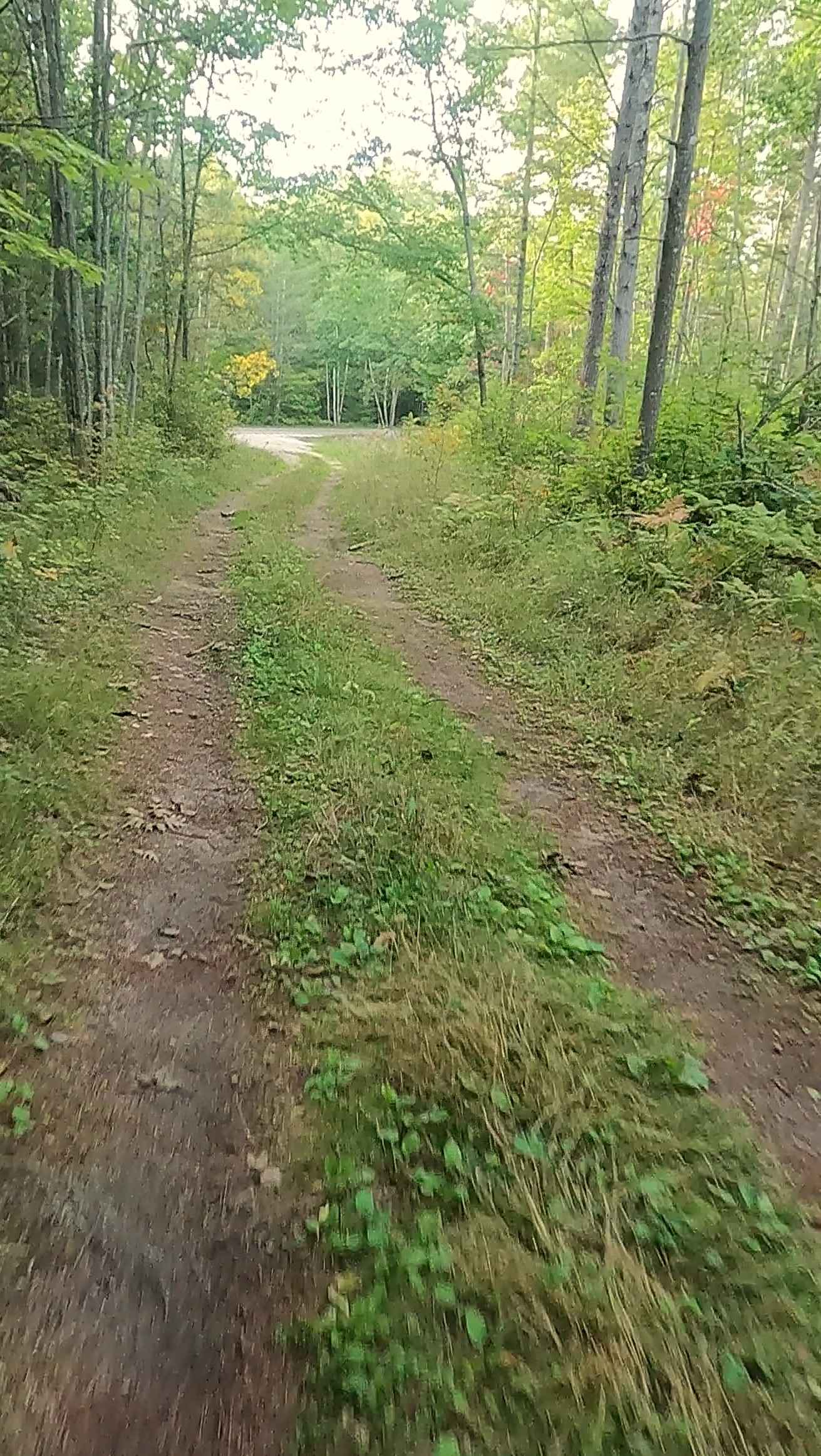 Old Stage Truck Road