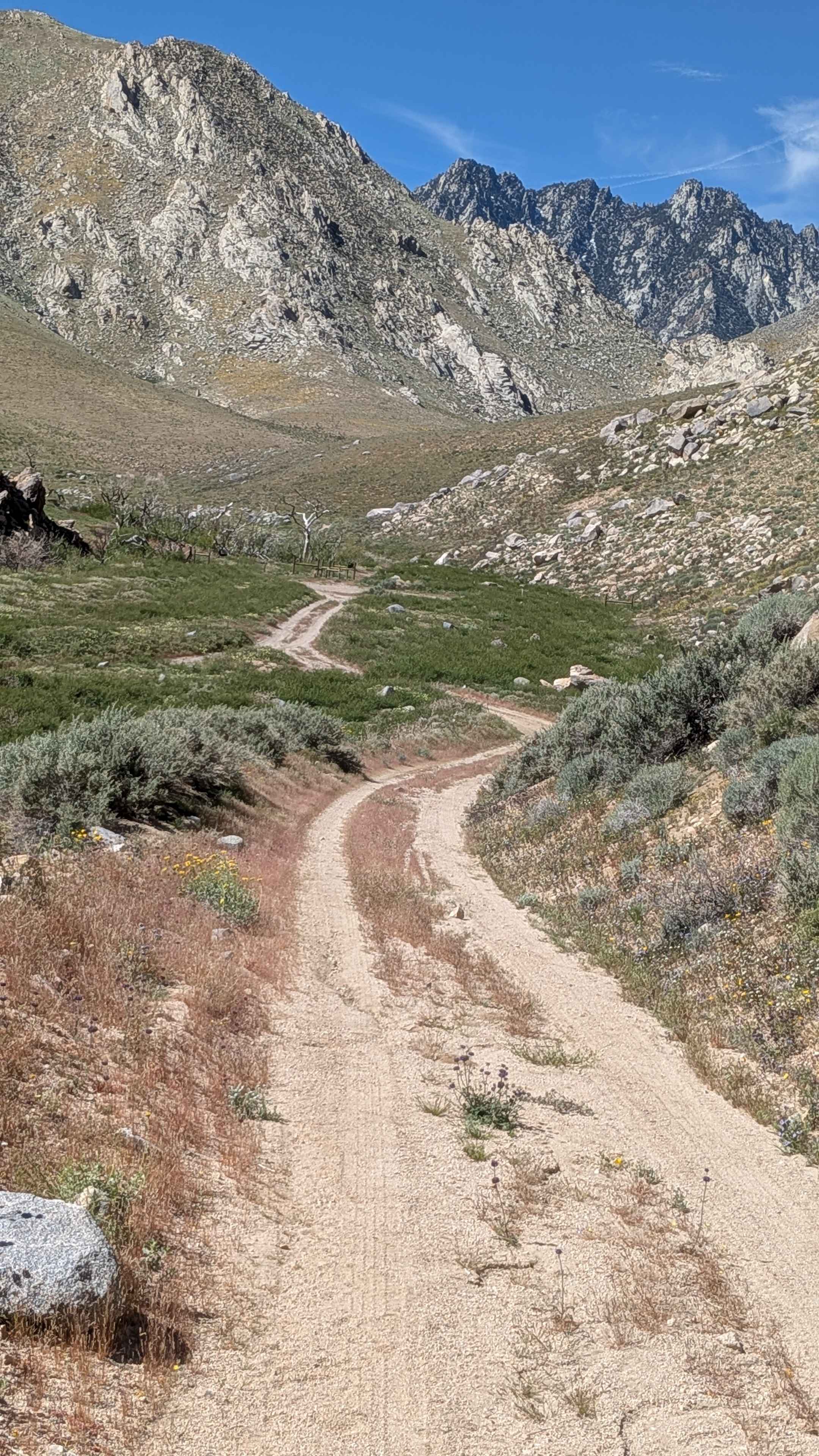 Sand Canyon Cliff Road - BLM 117