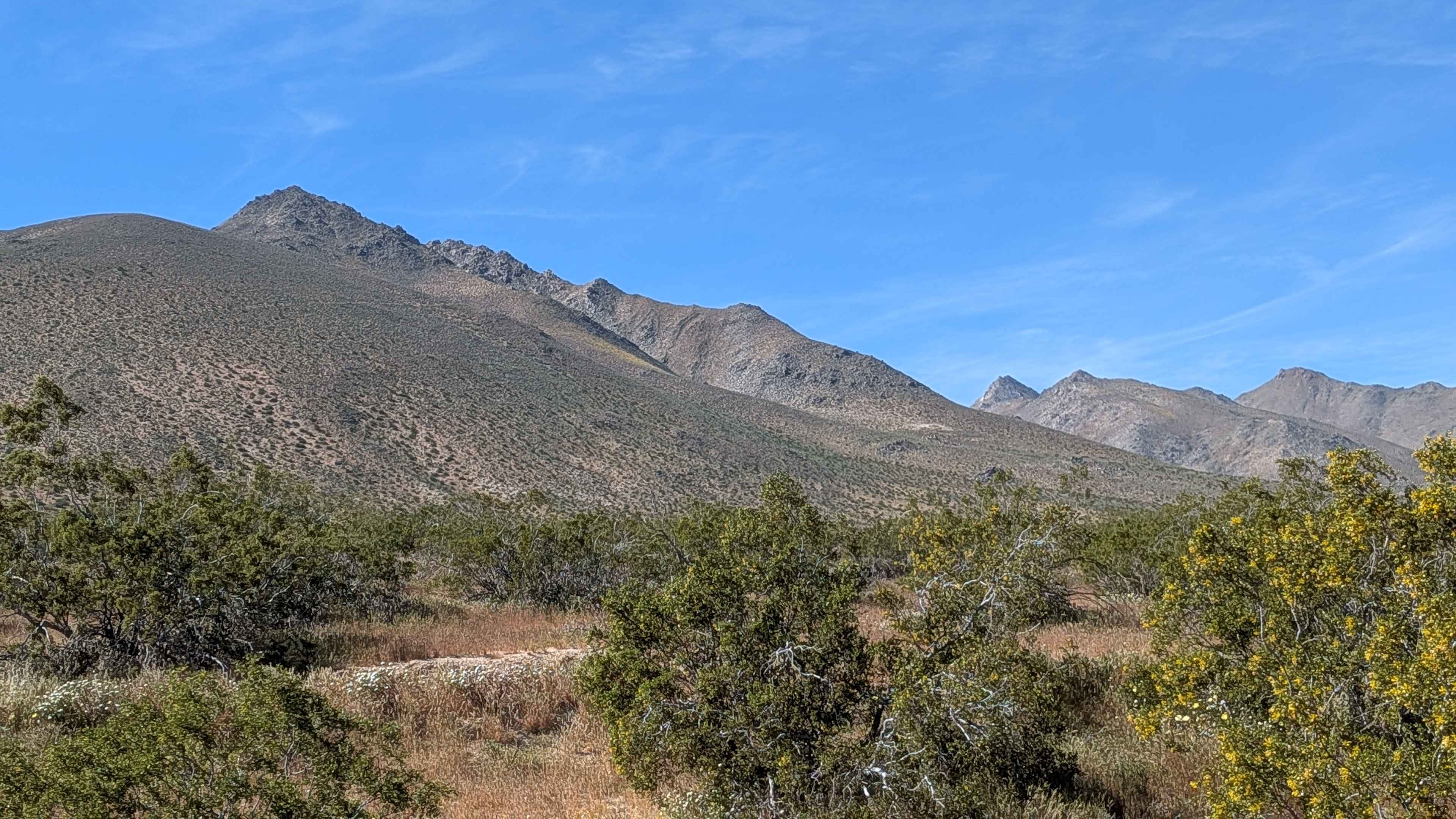 BLM LAP Grapevine Canyon