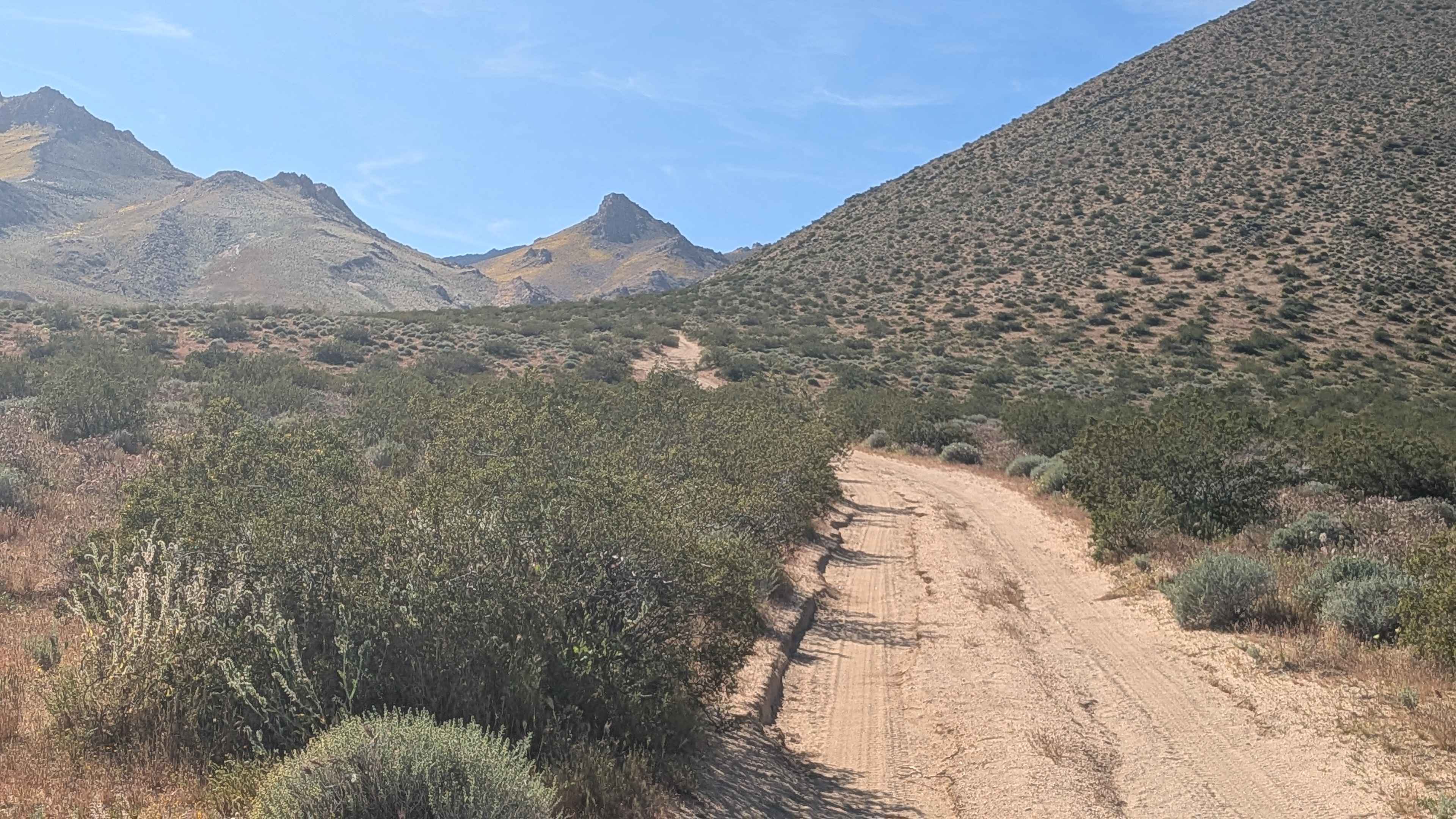 Leliter Road - BLM SE137