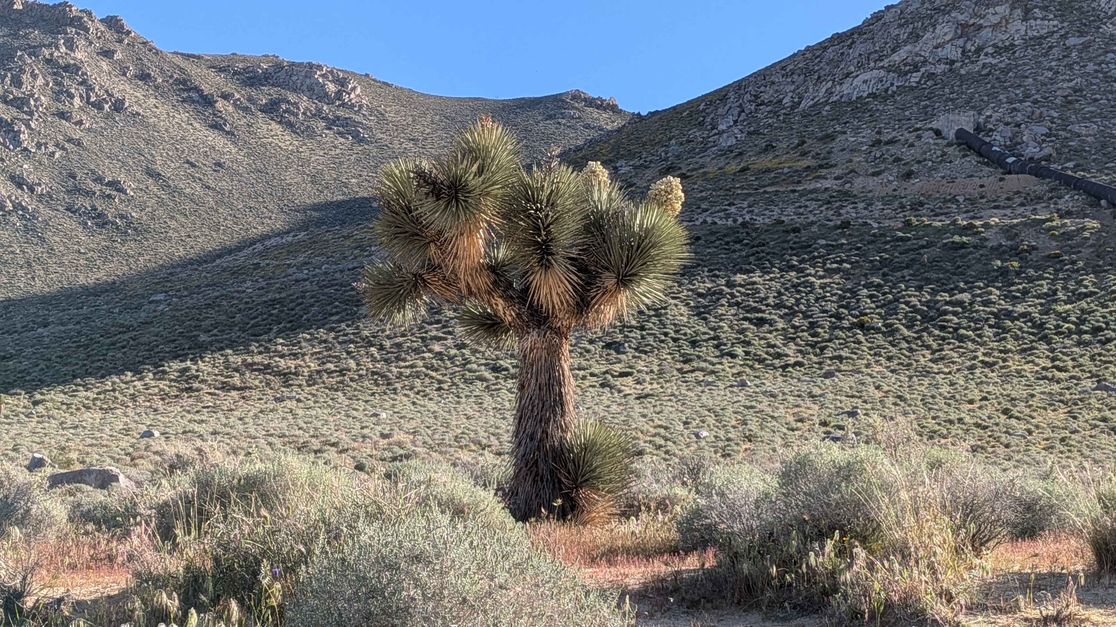 Grapevine Canyon Road - BLM SE128