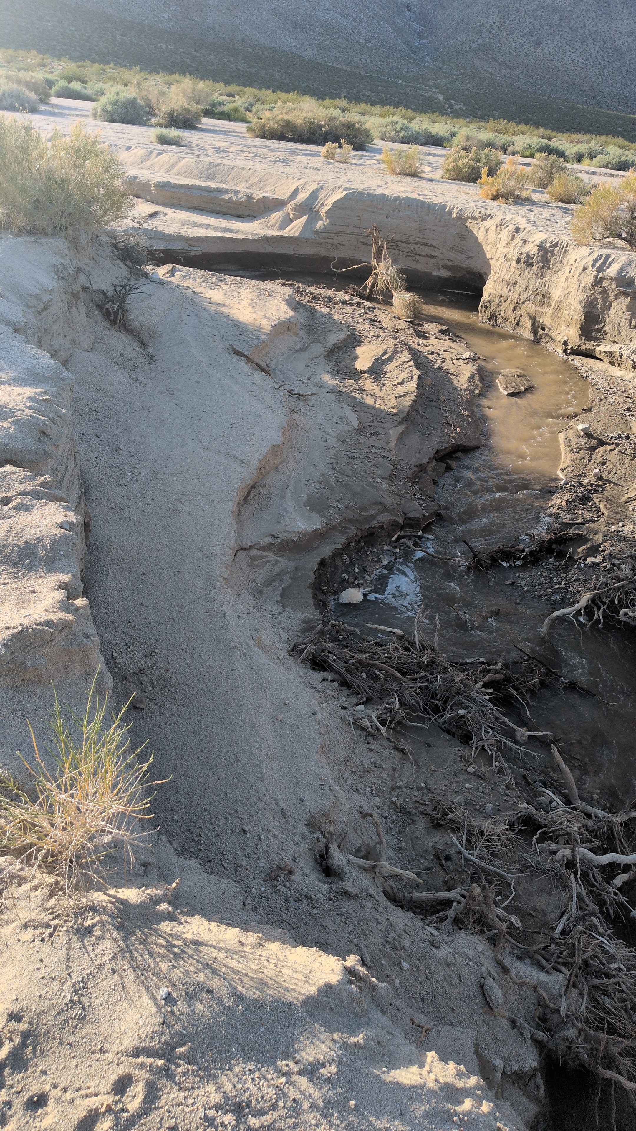 BLM LAP No Name Canyon