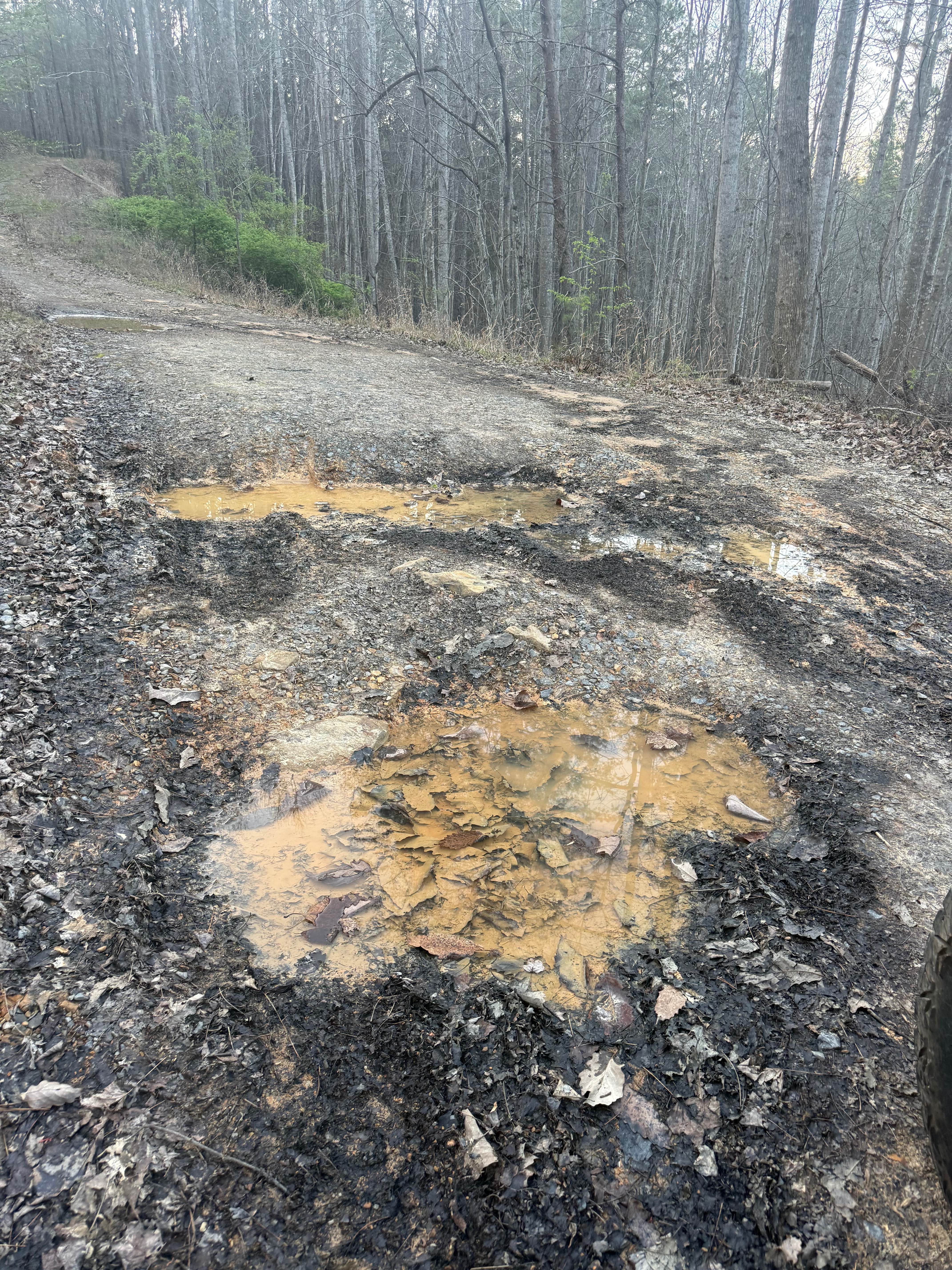 Stover Creek Ridge - FS 207A