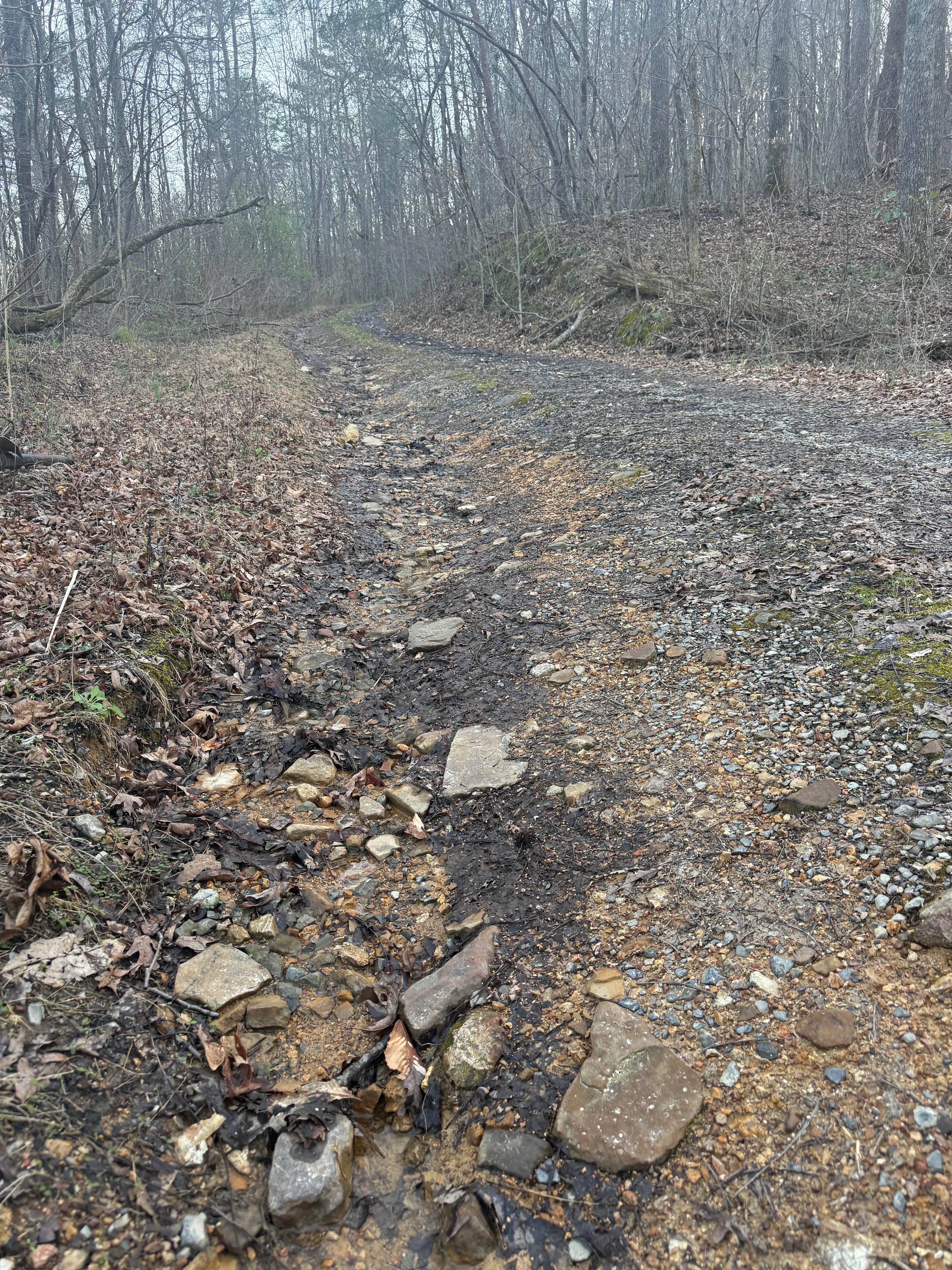 Stover Creek Ridge - FS 207A