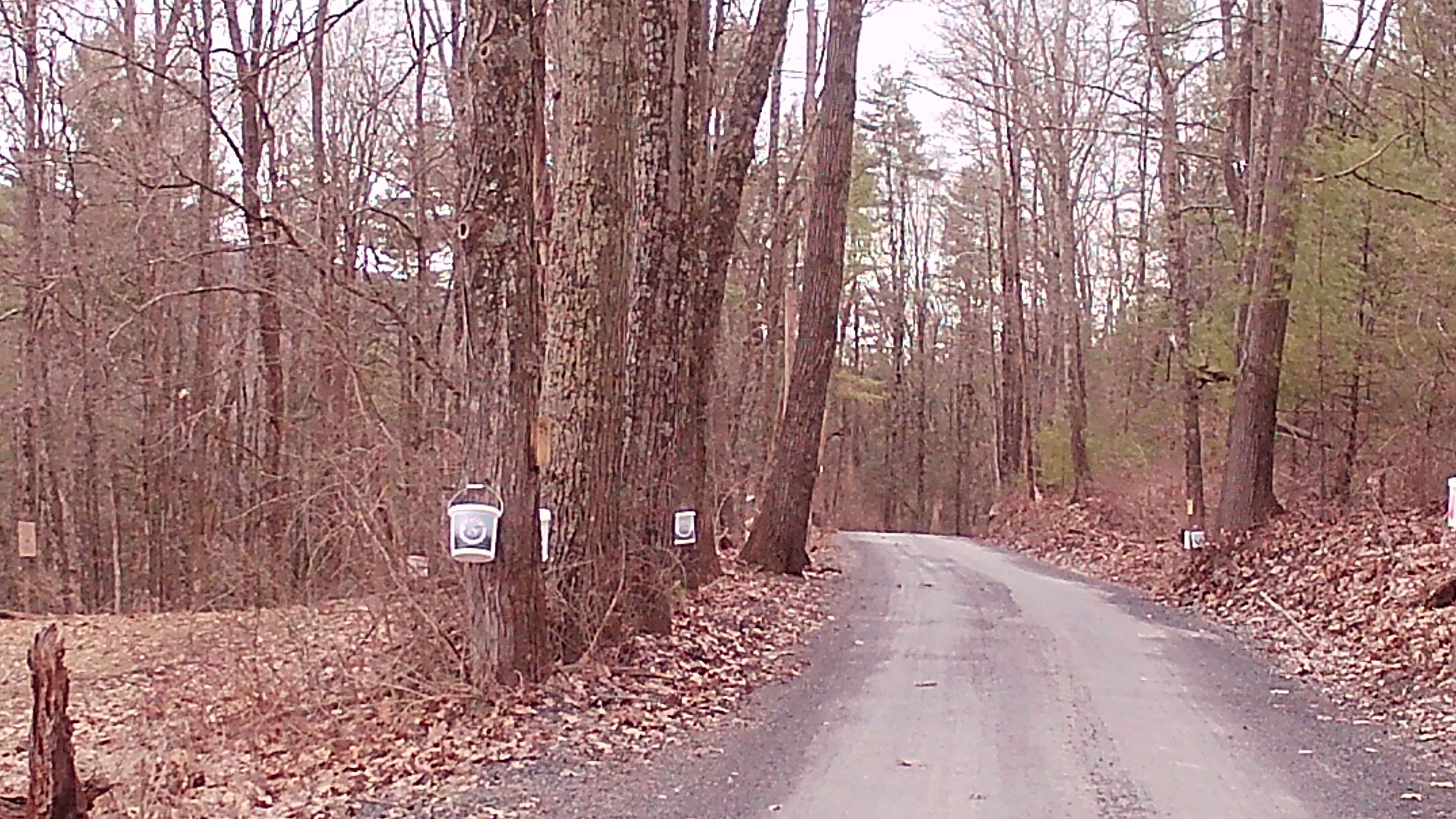 Treaster Kettle road