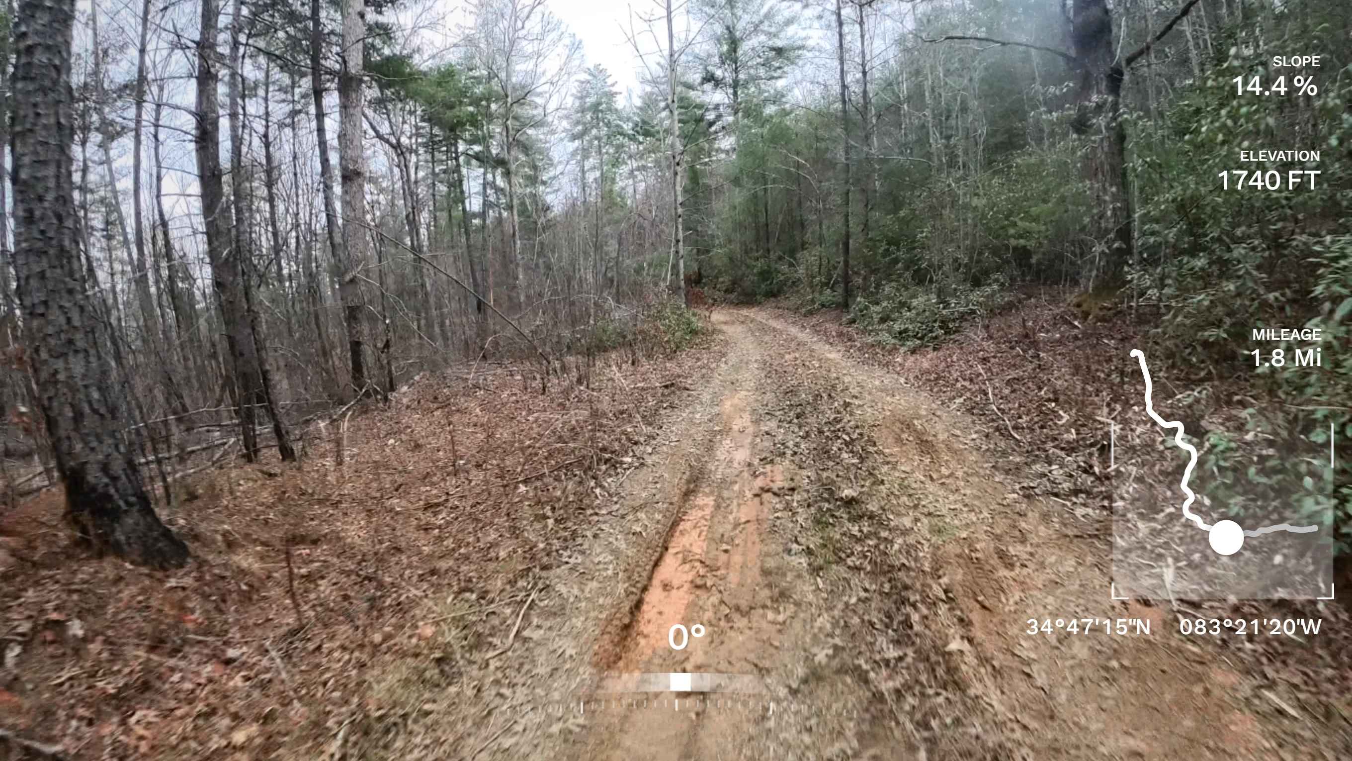 Deaden Timber Road - FS 825