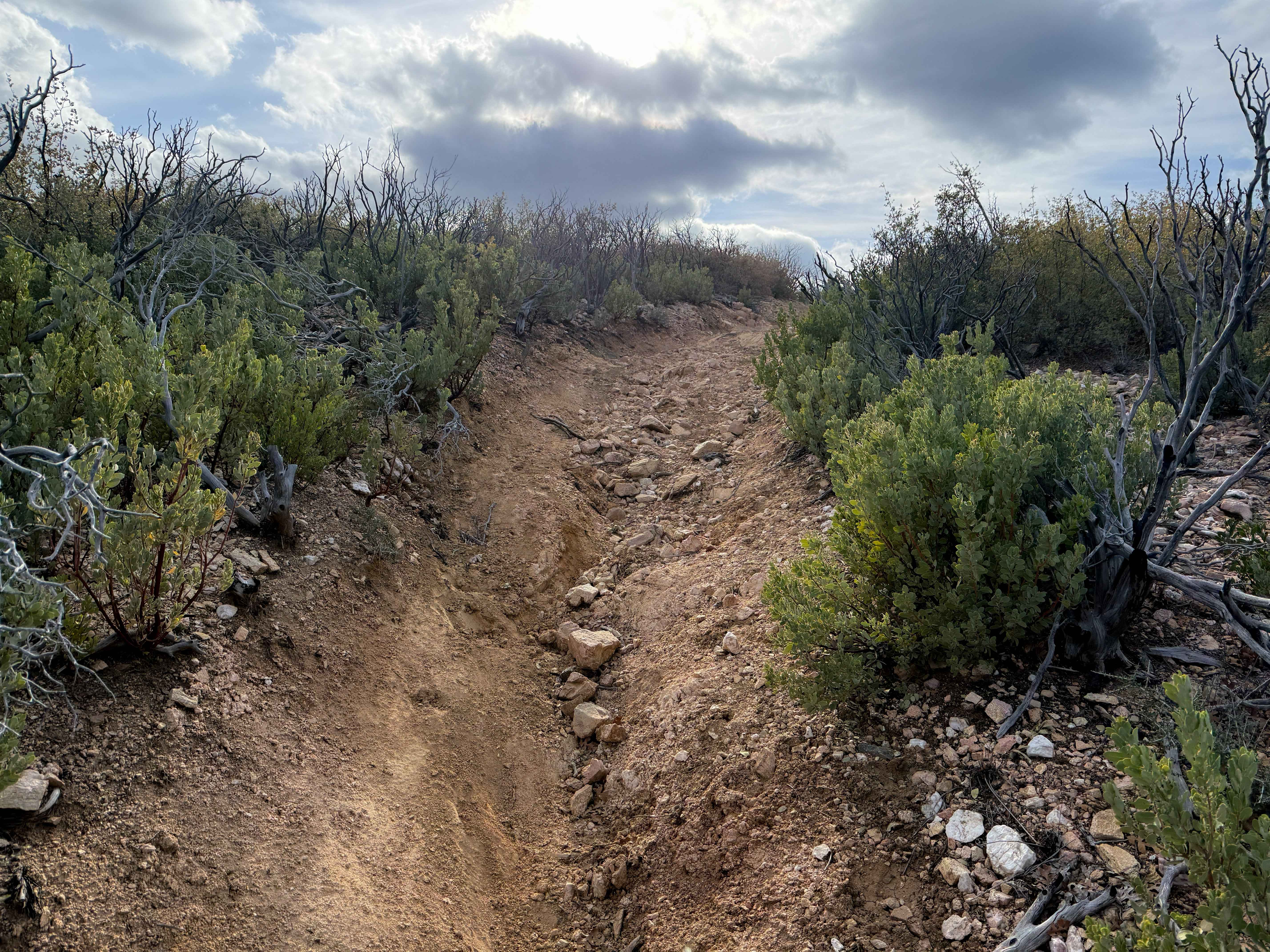 Cottonwood Trail #8 (ATV)