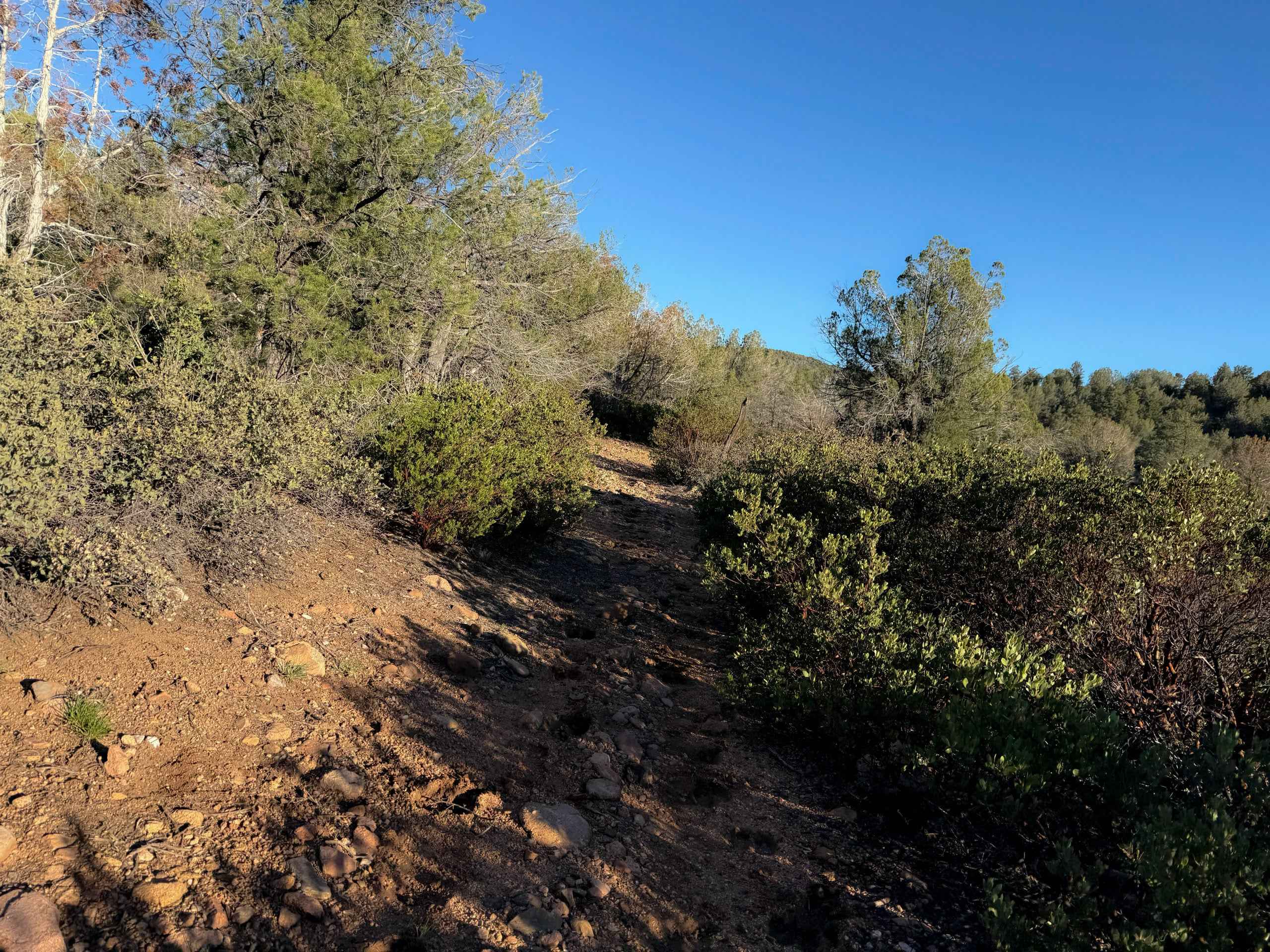 Cottonwood Spring #664