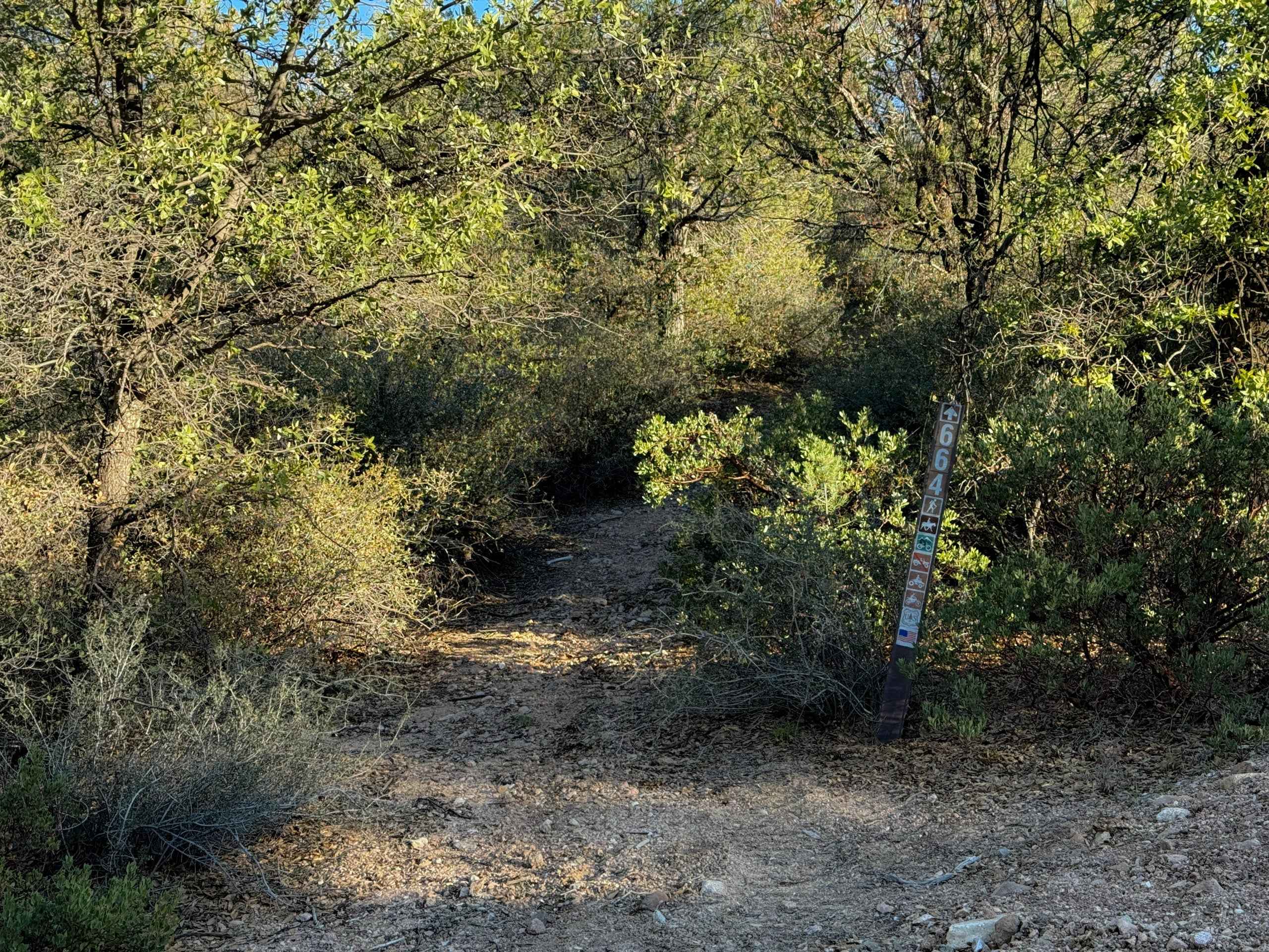 Cottonwood Spring #664