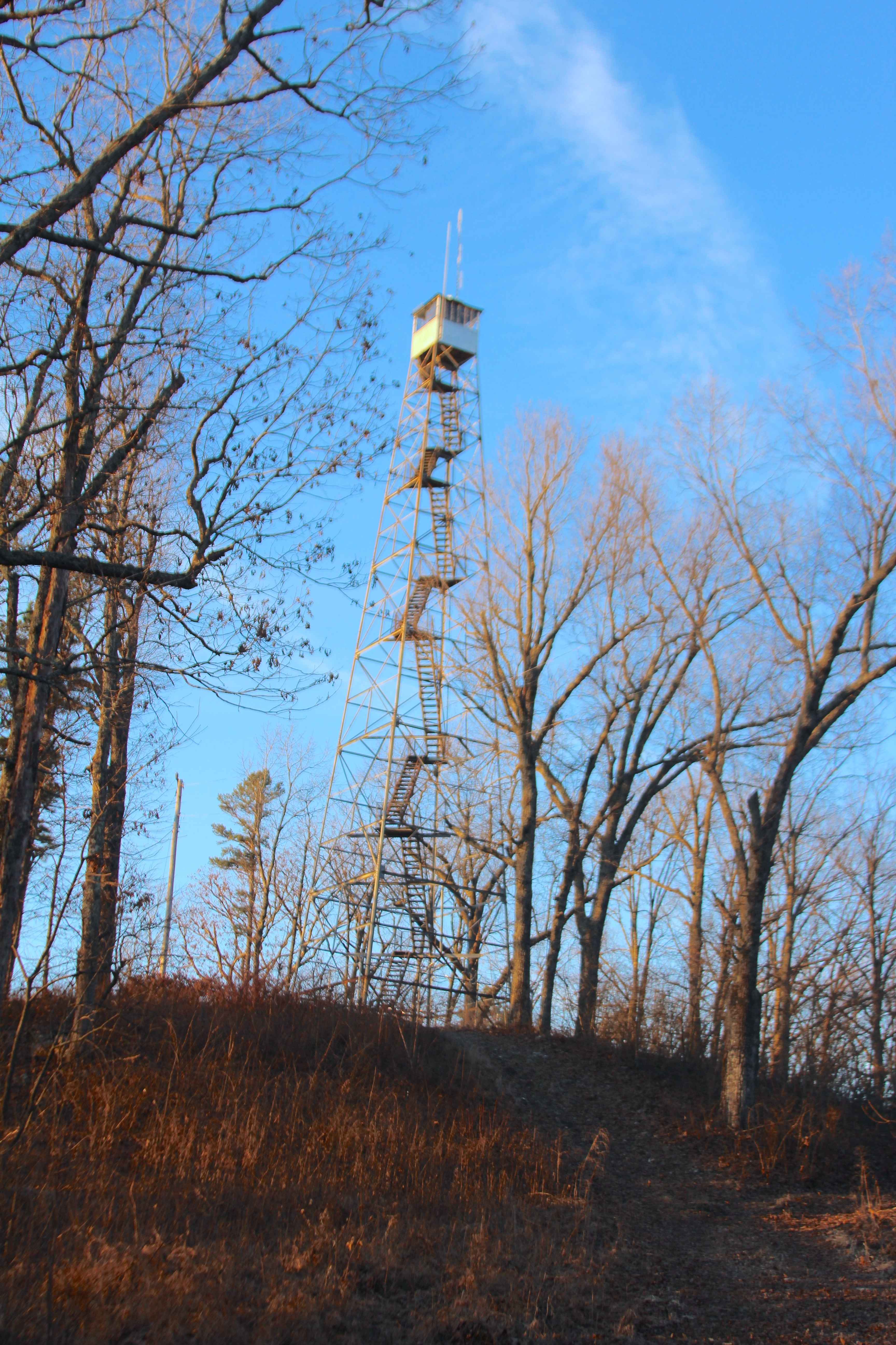 Blue Buck Tower - FS 121