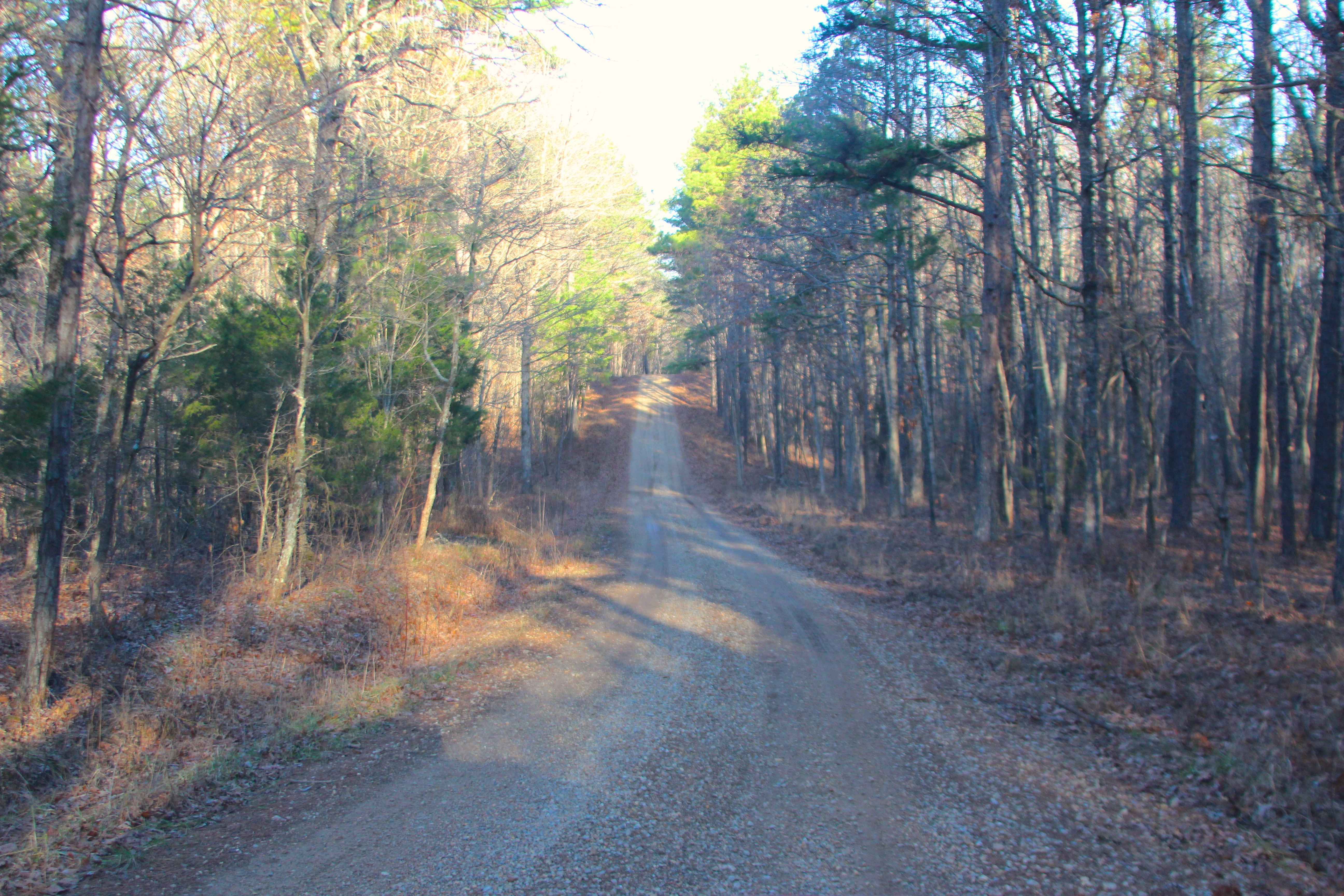 Duffy's Hollow - FS 419