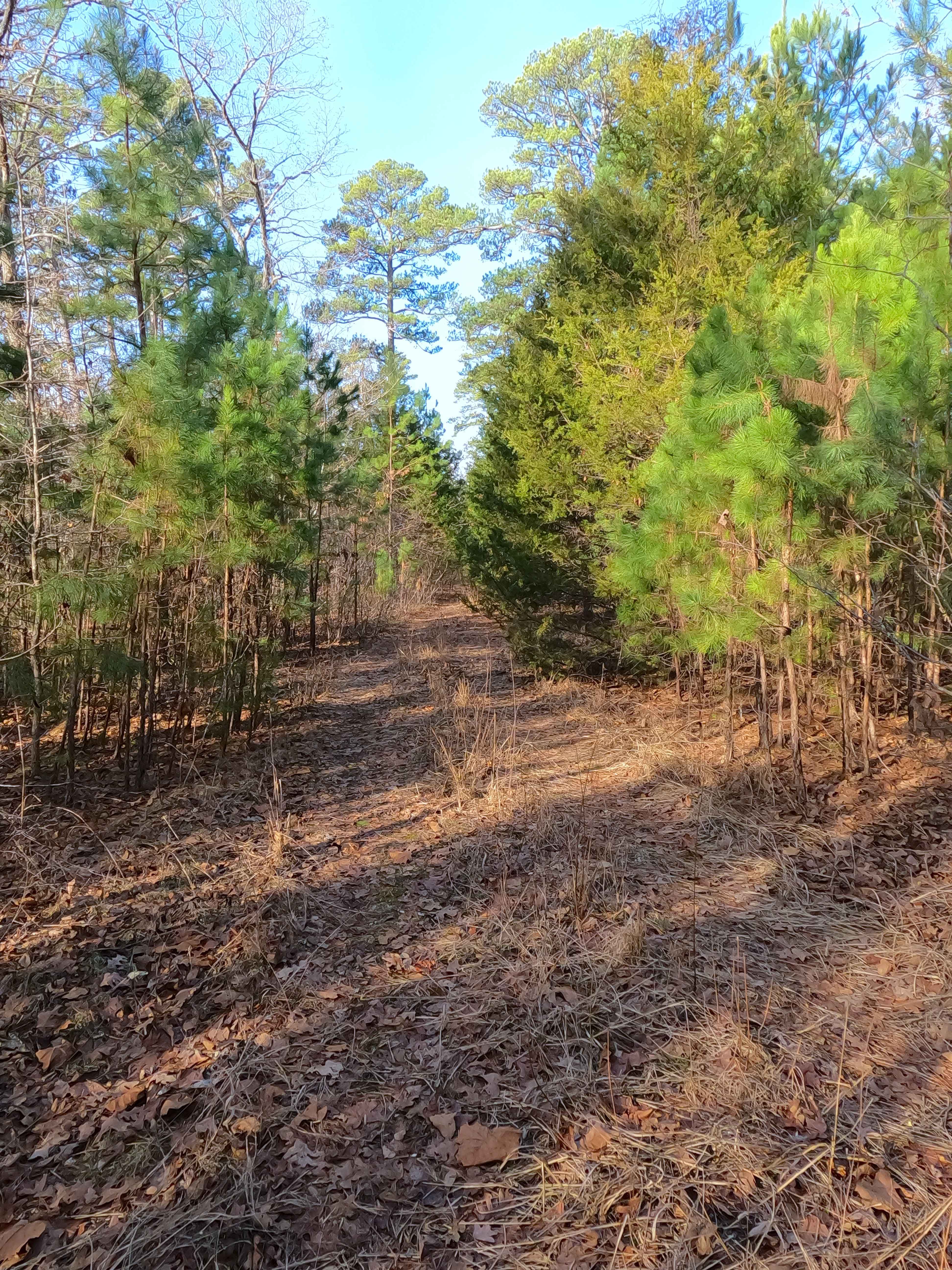 Duffy's Hollow Spur A - FS 419A