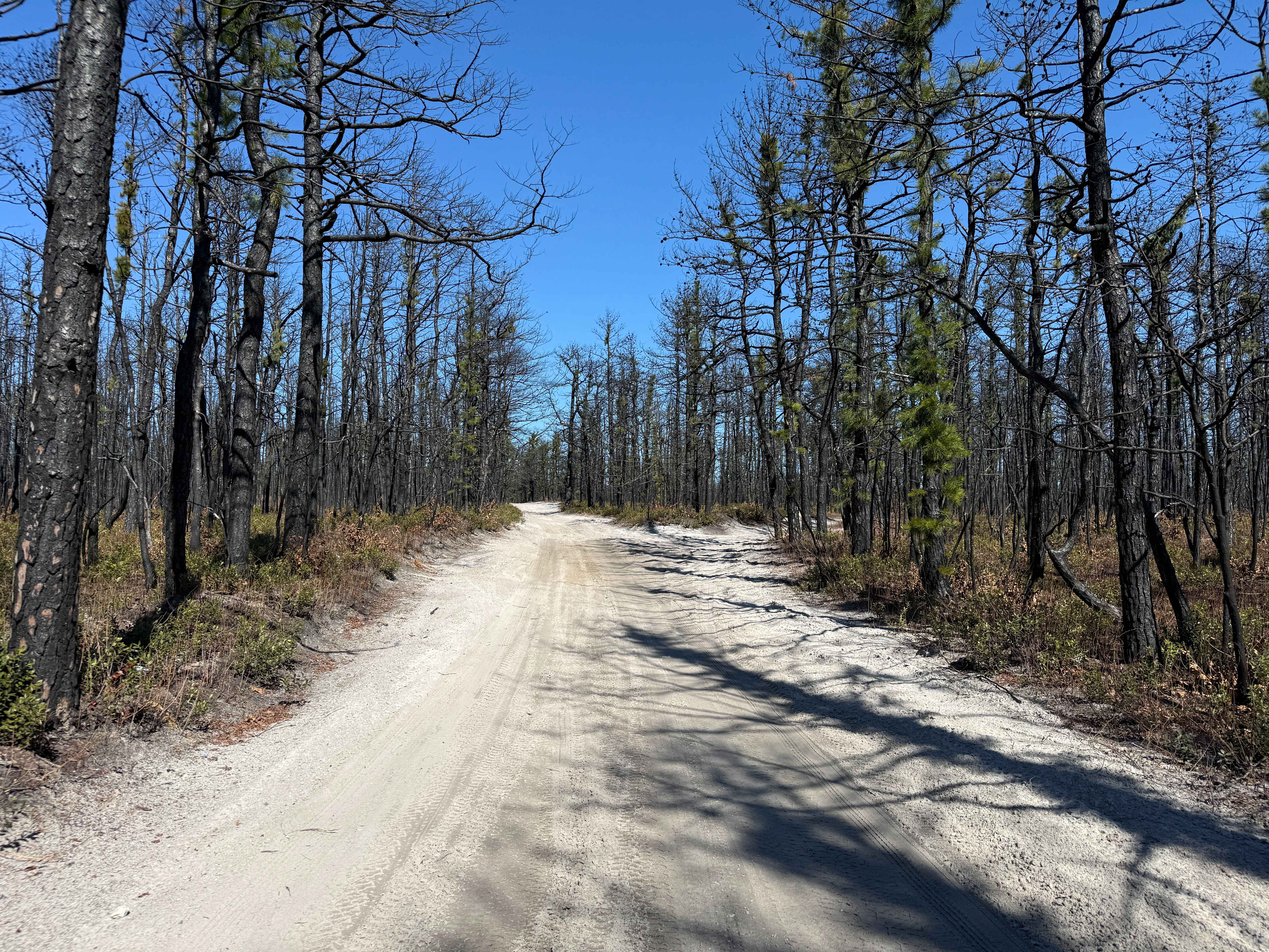 Tuckertown Railroad Extension