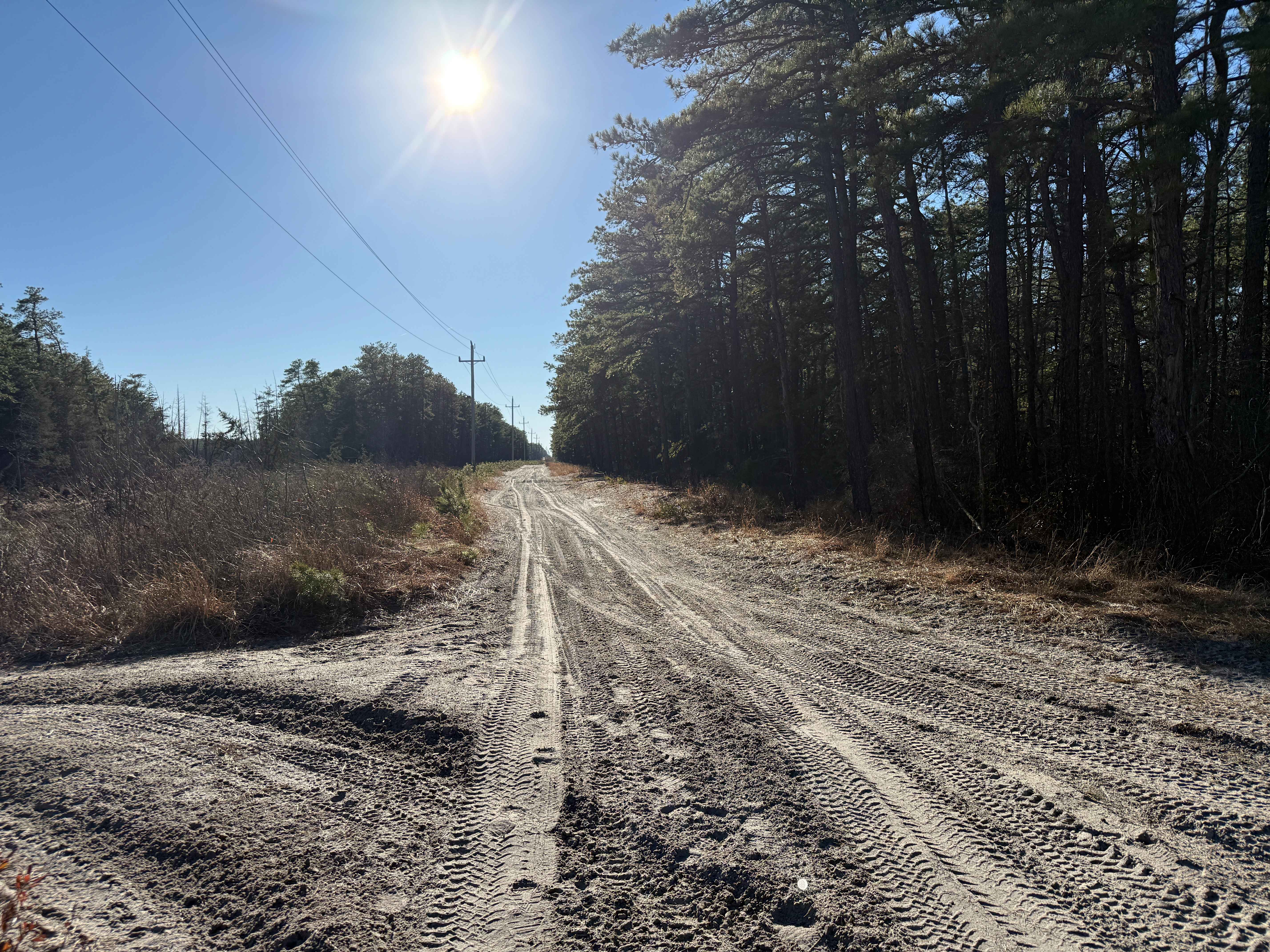 Railroad Prerunner Trail