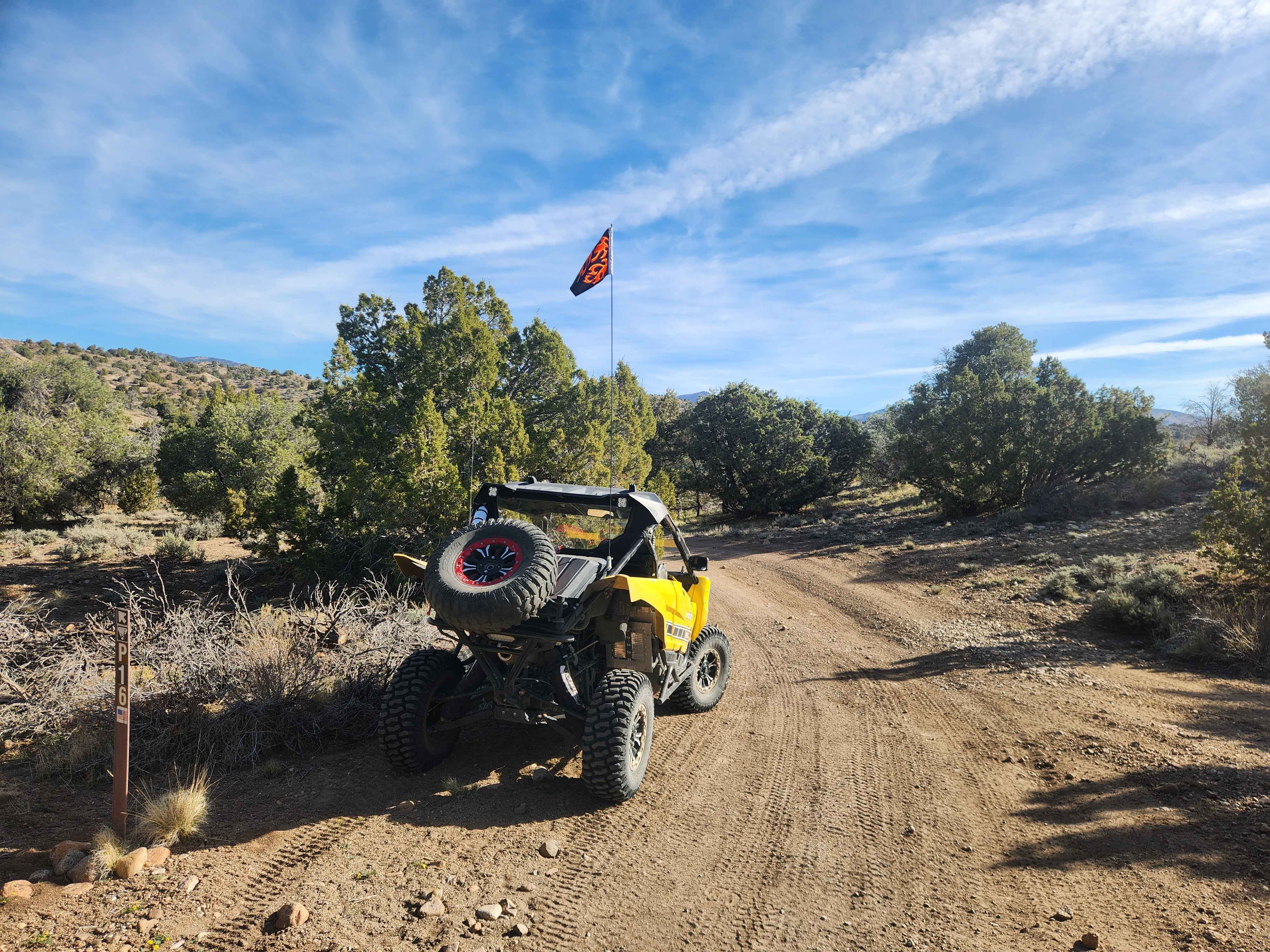 Pine Nuts P-16 Trail