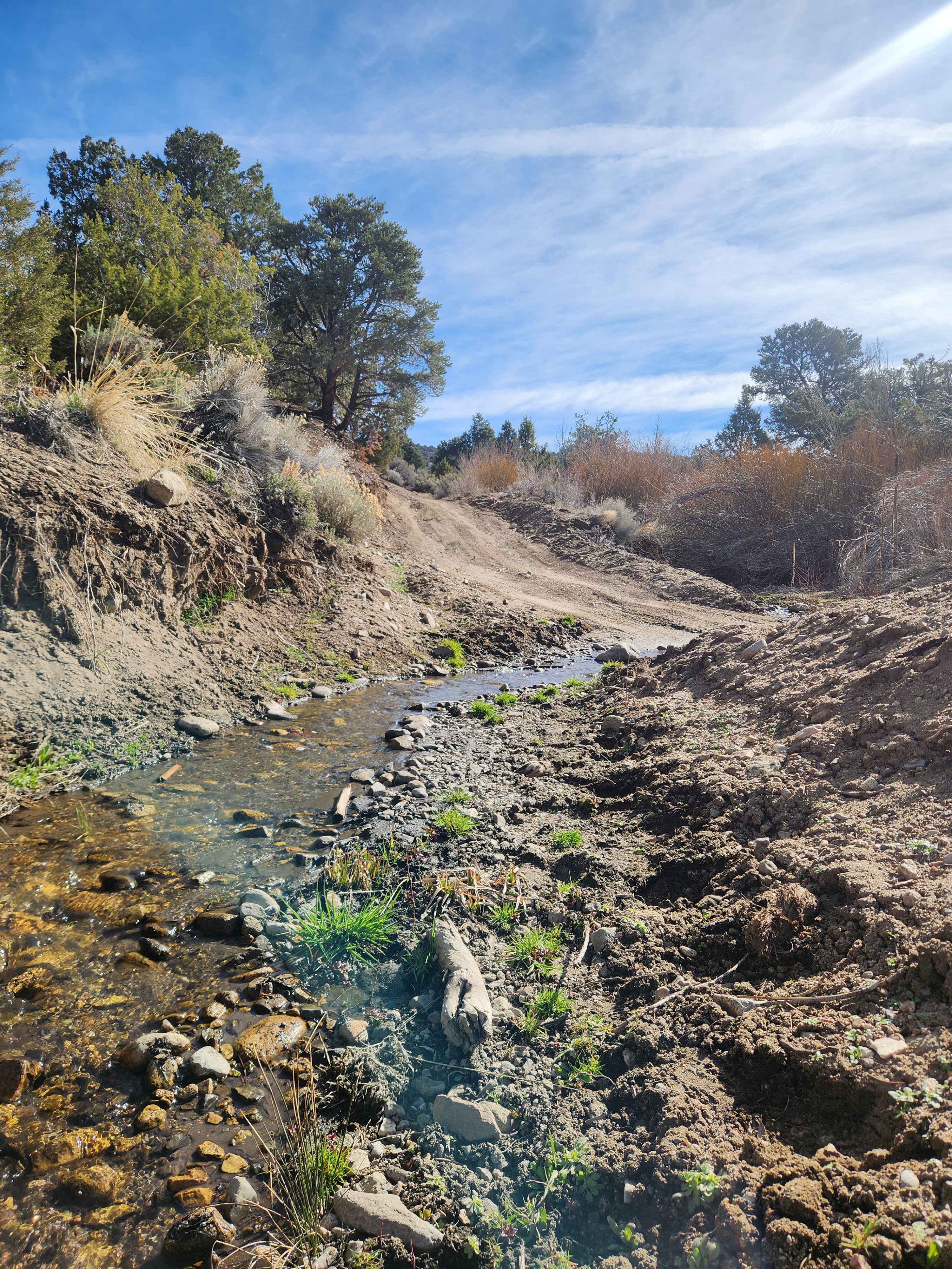 Pine Nuts P-16 Trail