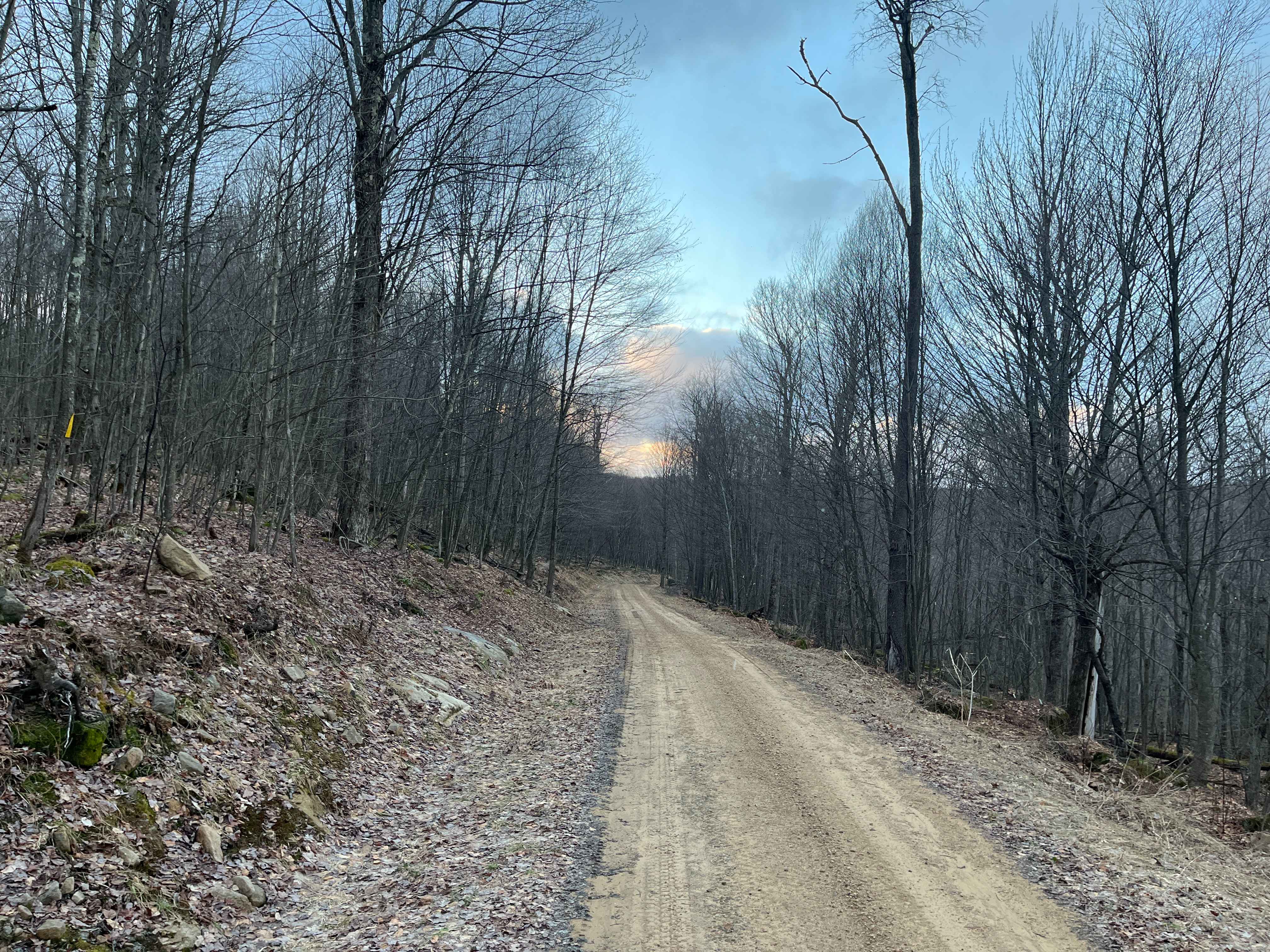 Miam Run B - FS 312B