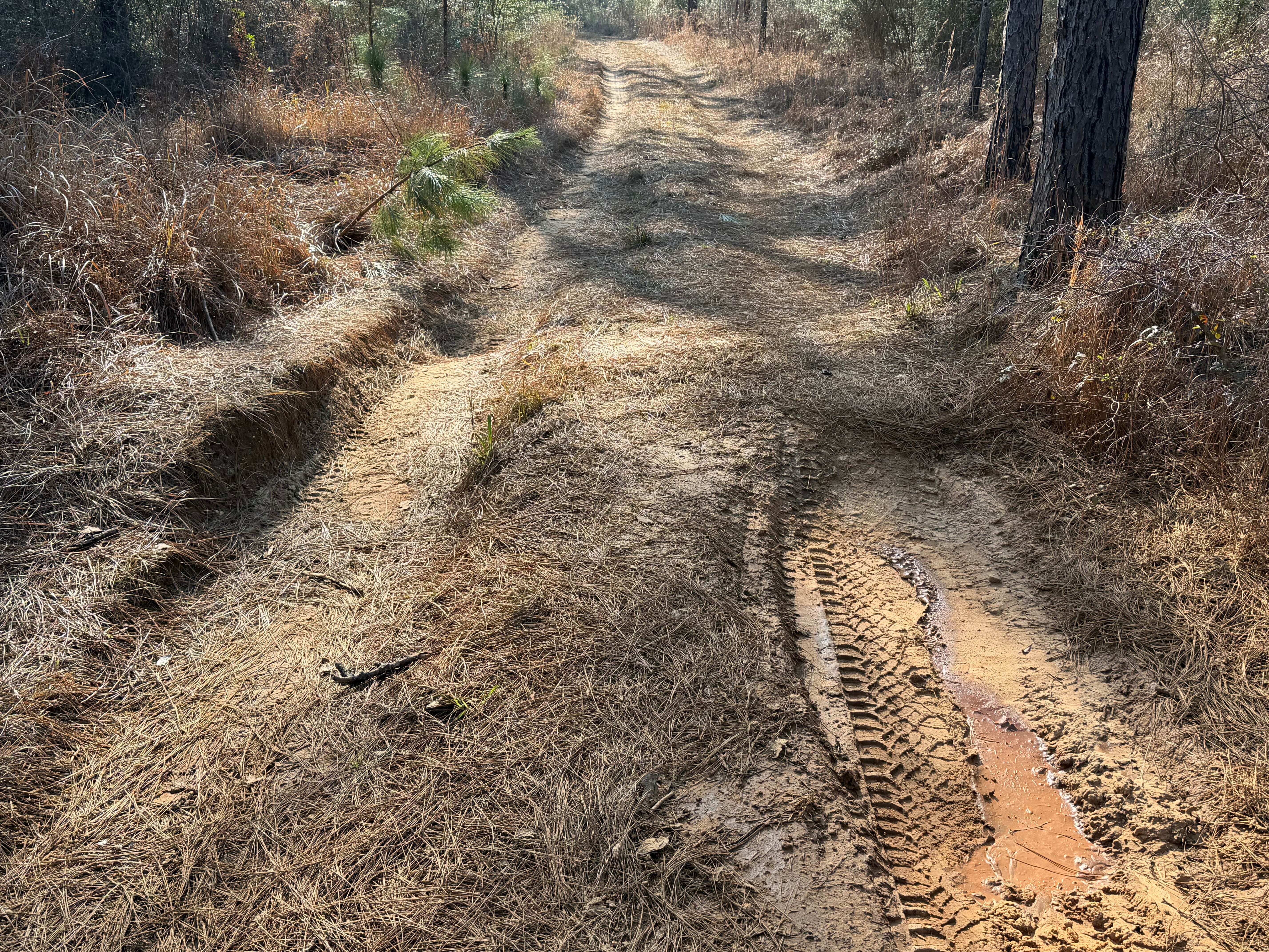 Left Branch - FS 308K