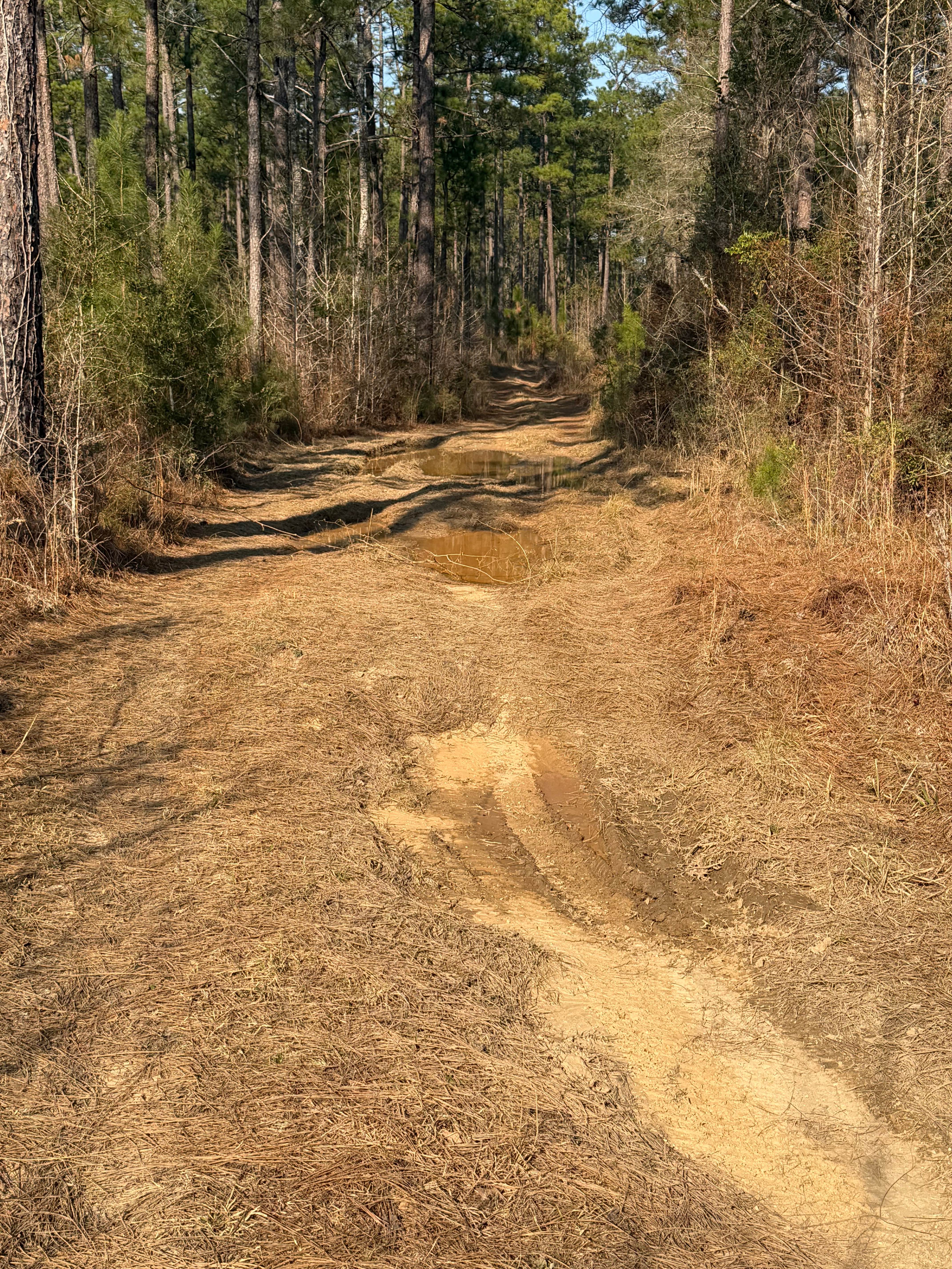 Left Branch - FS 308K