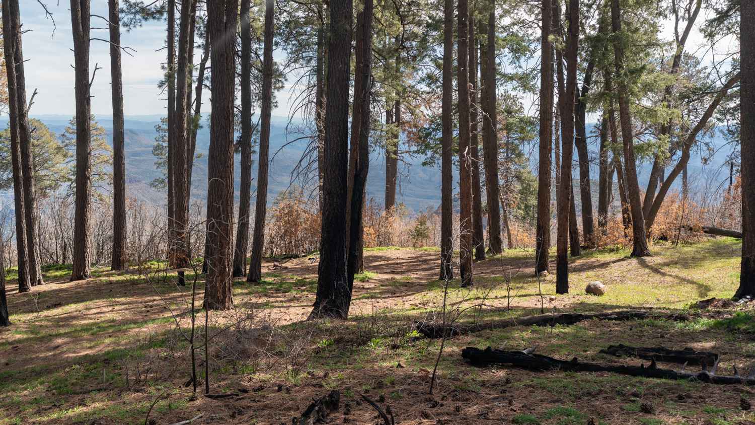 Murphy Ranch - FS 487A